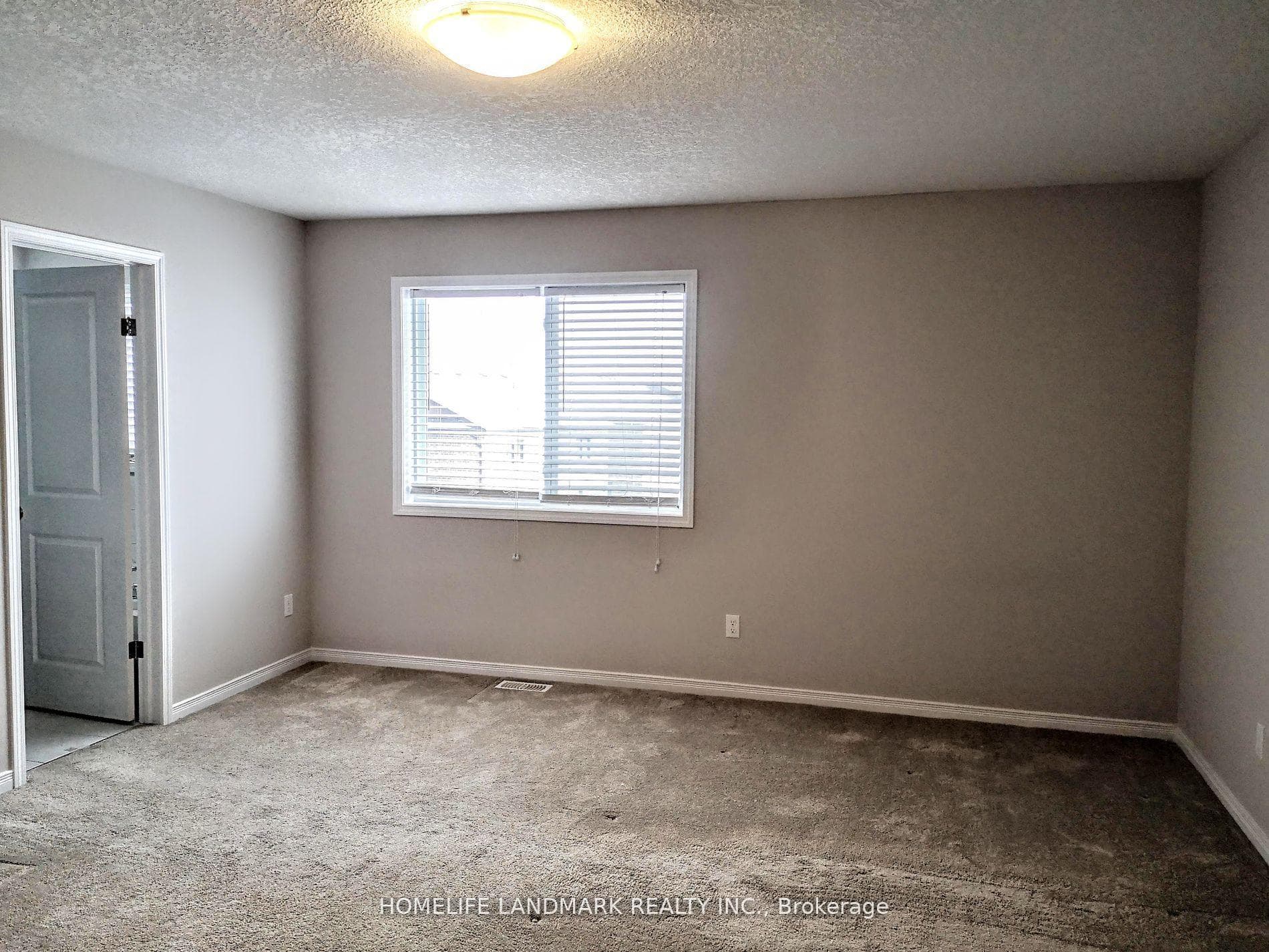 561 Mayapple Street photo 12