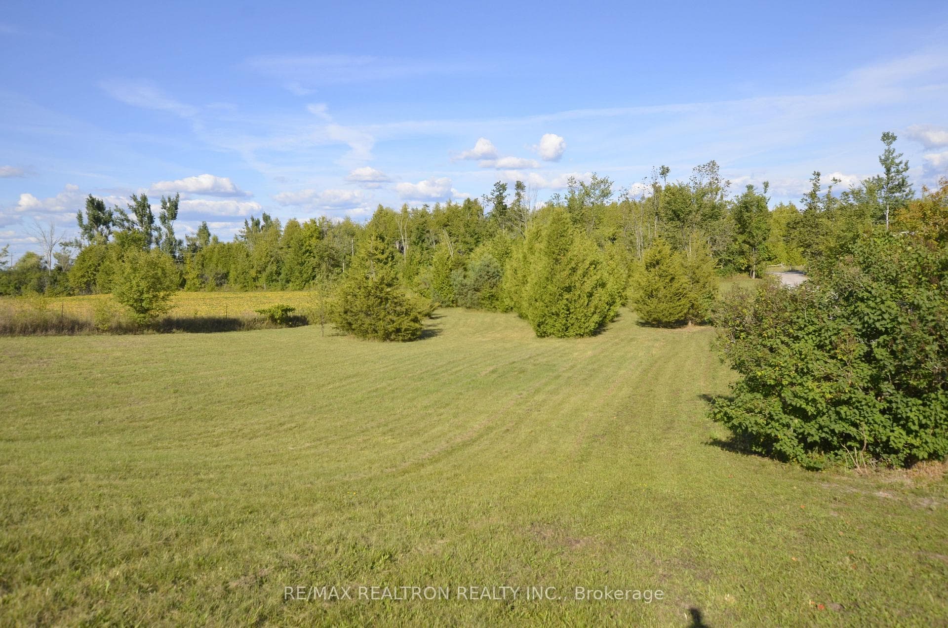 505 Scotch Line Road photo 4