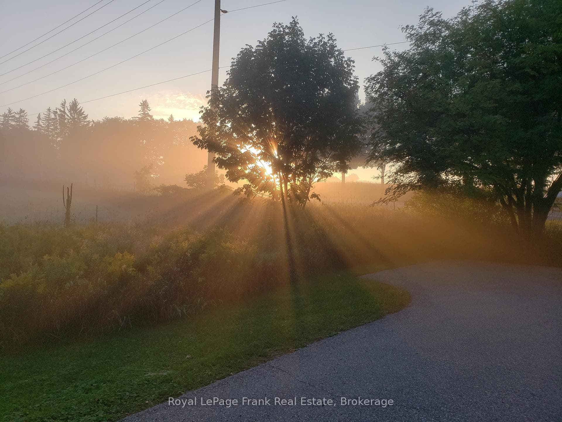 1361 Highway 7A N/A photo 41