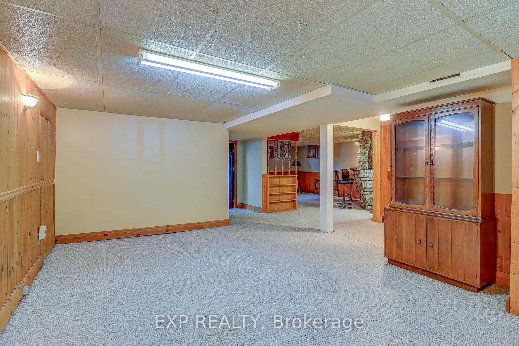 Basement Rec-Room 2