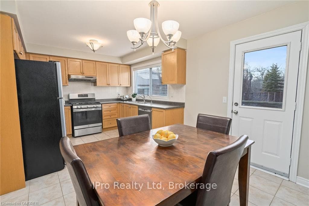 36 GREY OWL N/A photo 14