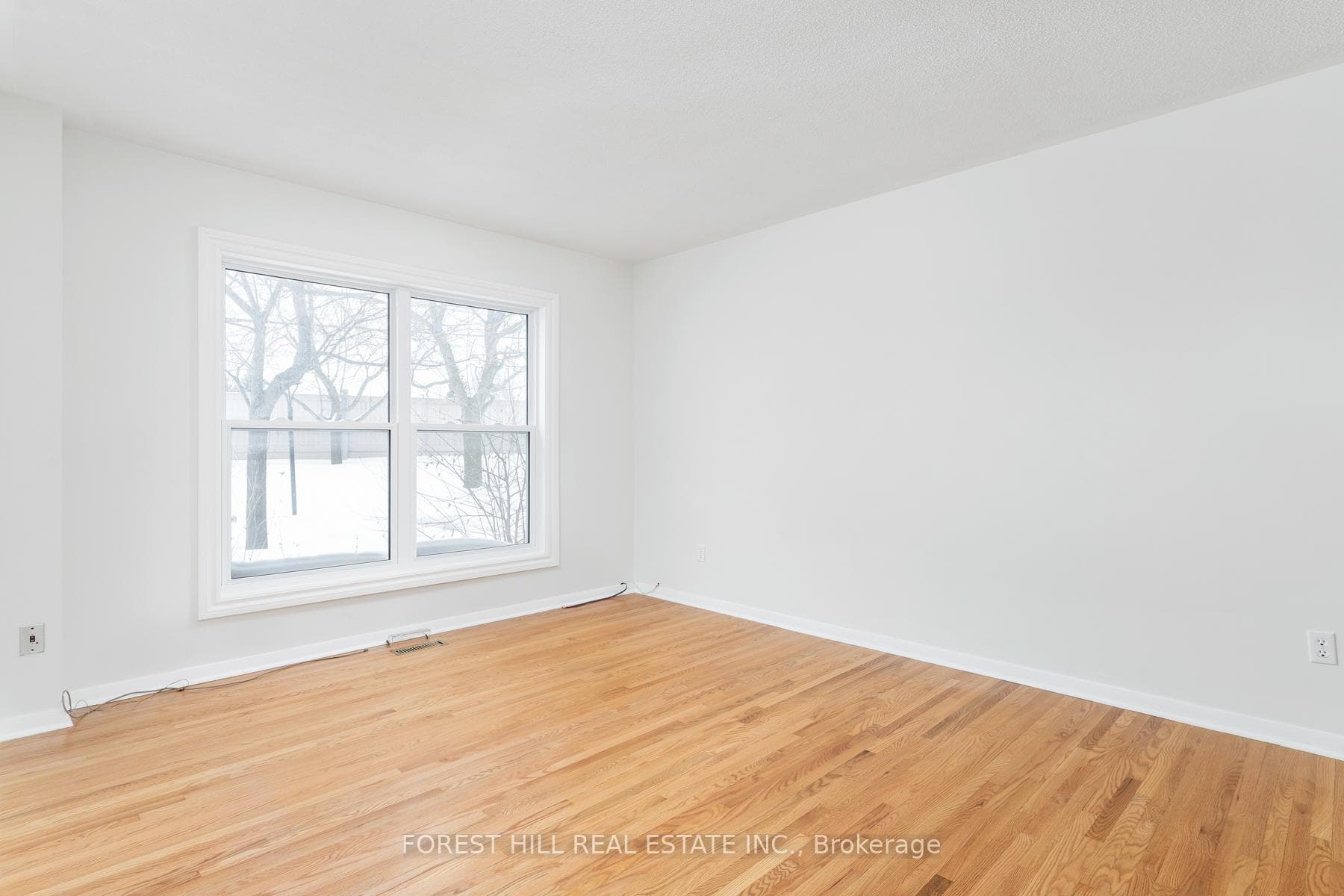 8 Balmoral Drive photo 9