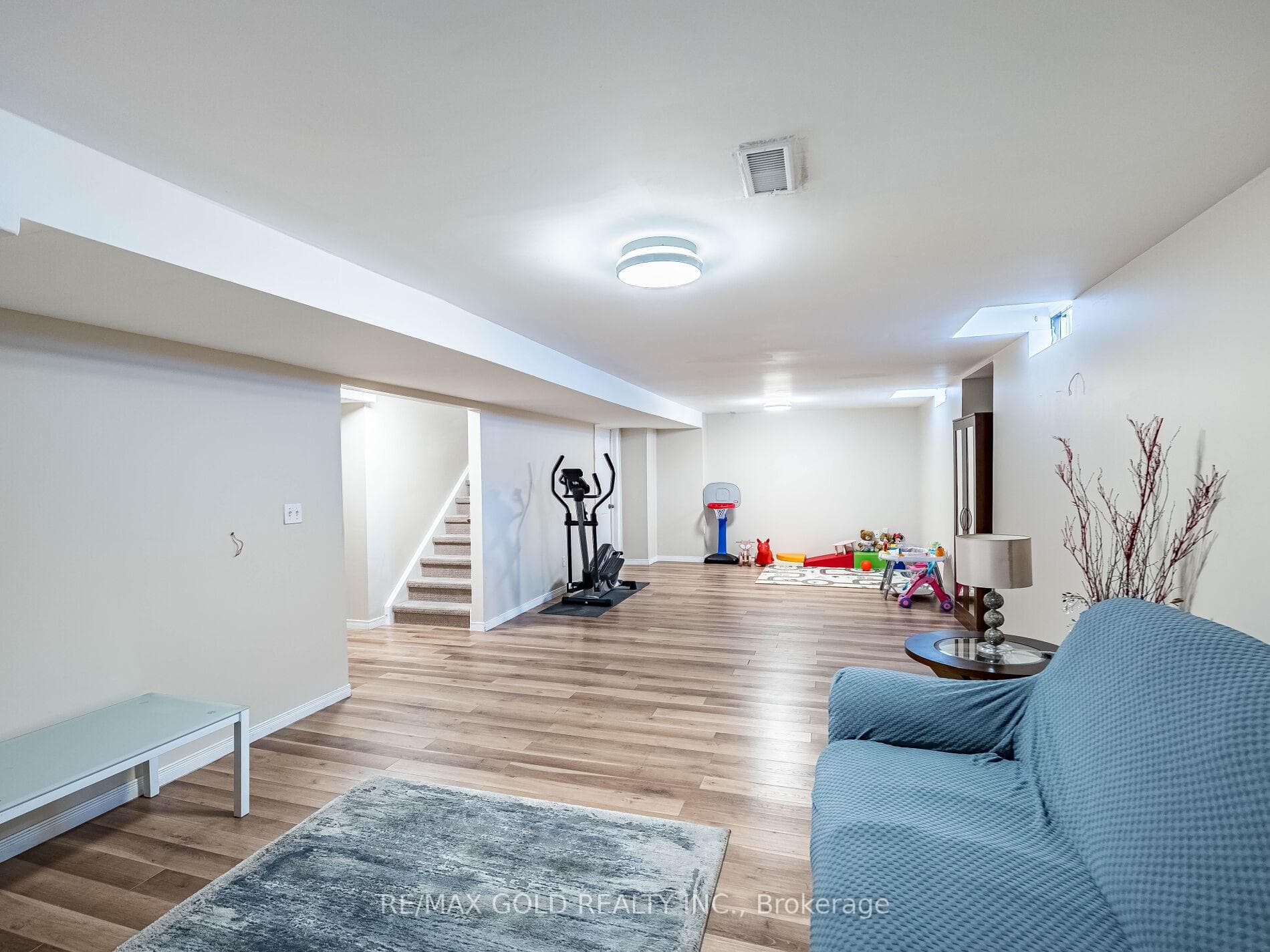 Basement Living Room