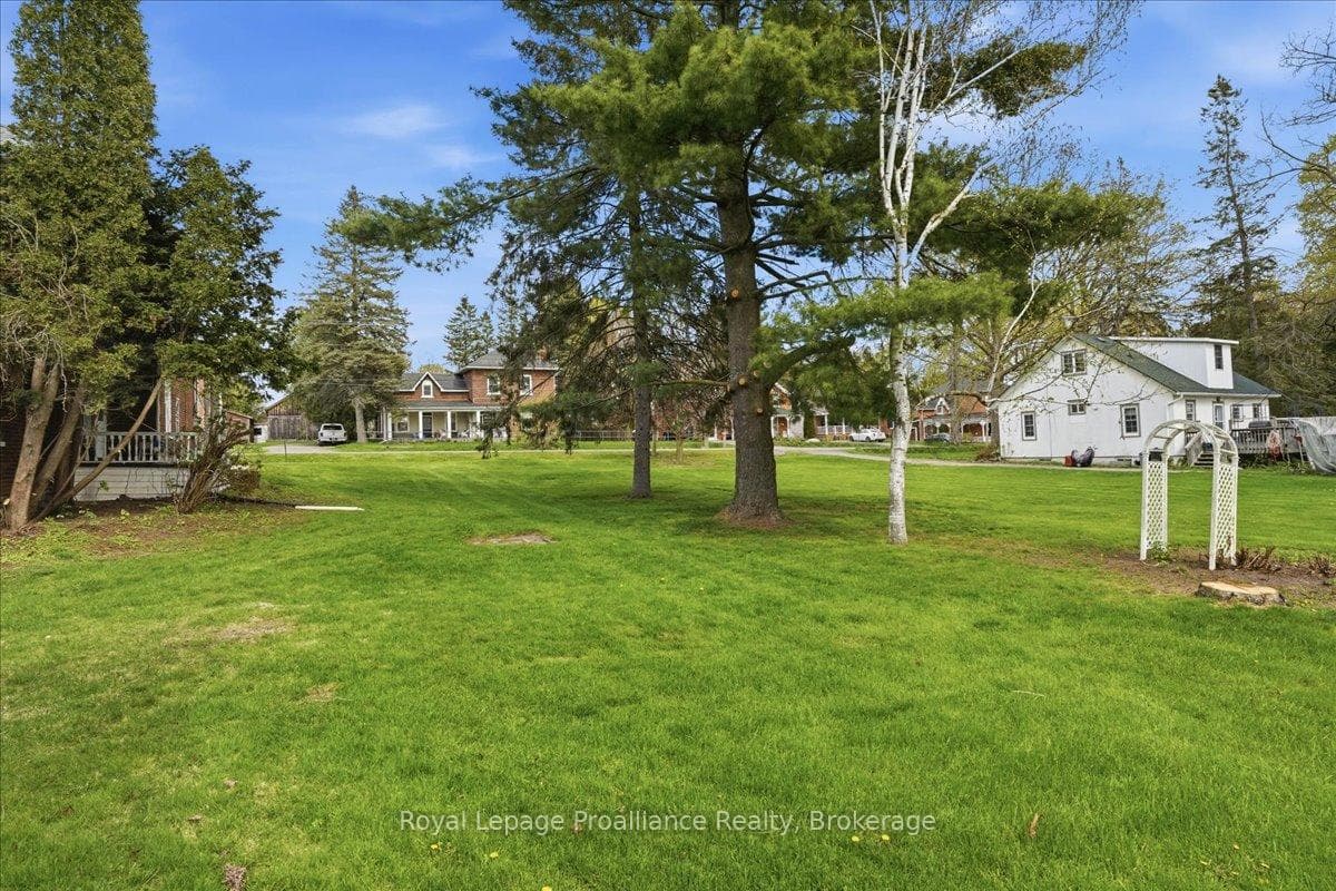 184 Edward Street photo 14