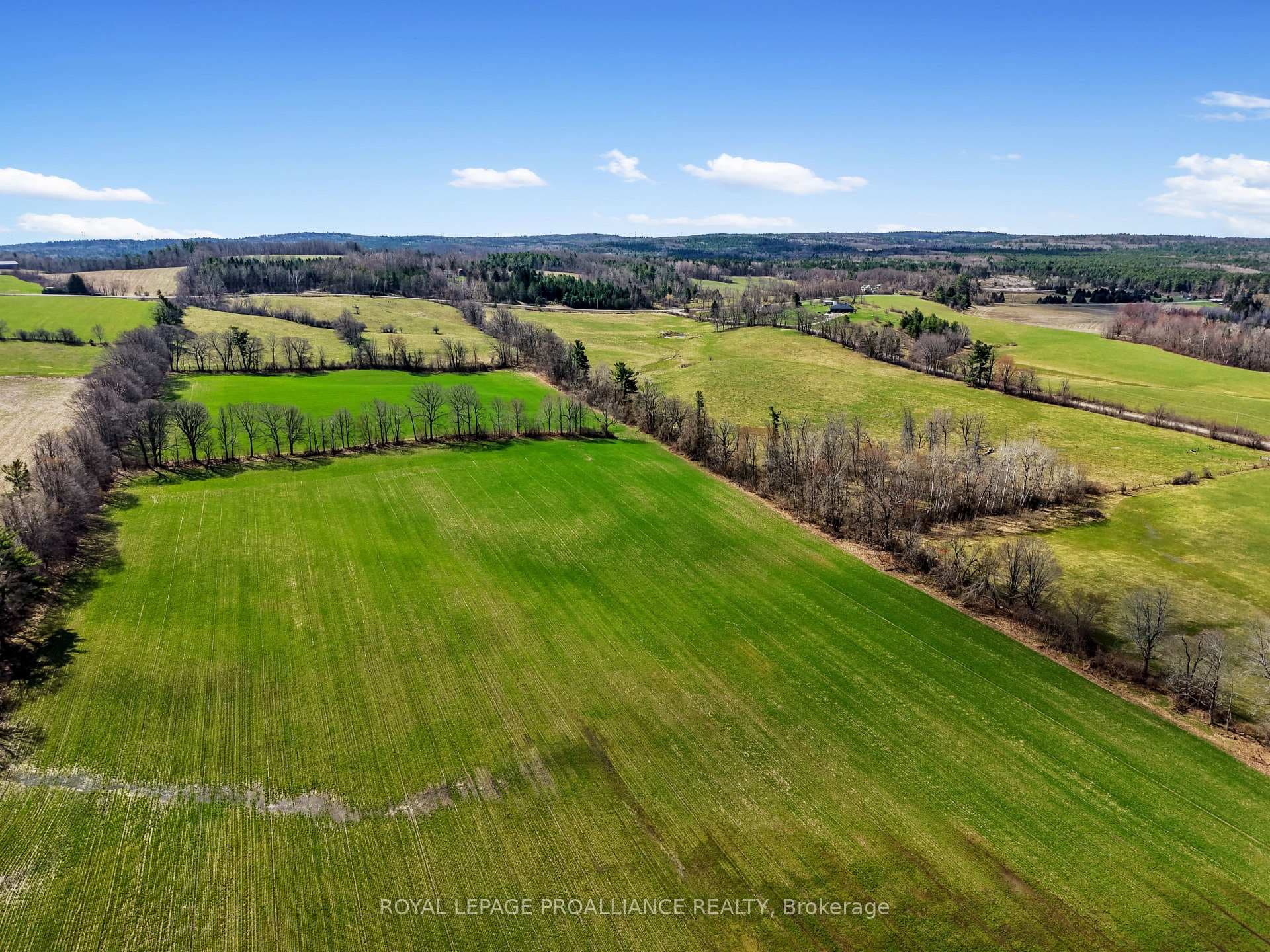 249 Bright Road photo 44