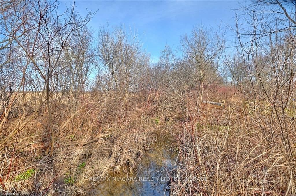 247 BALSAM Street photo 11