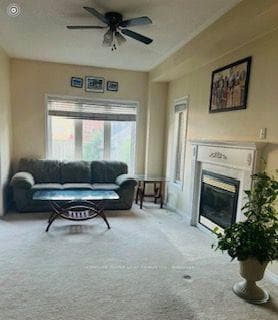 73 Meadowlark Drive photo 5