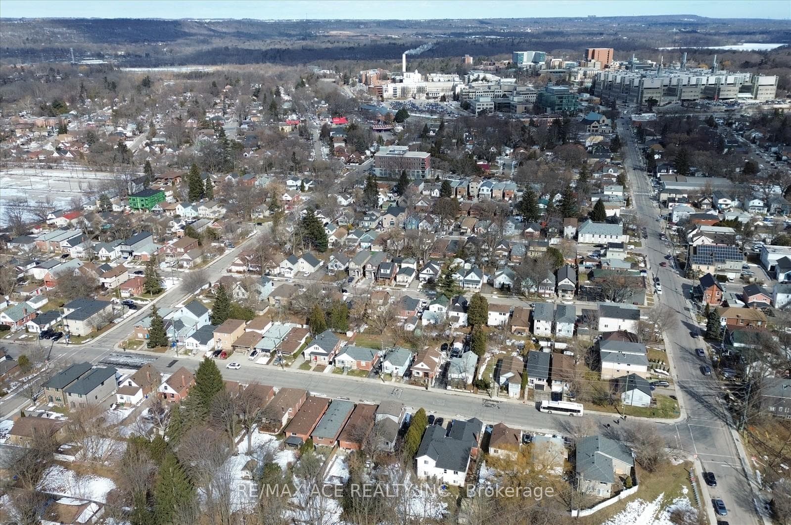 83 Ward Avenue photo 46