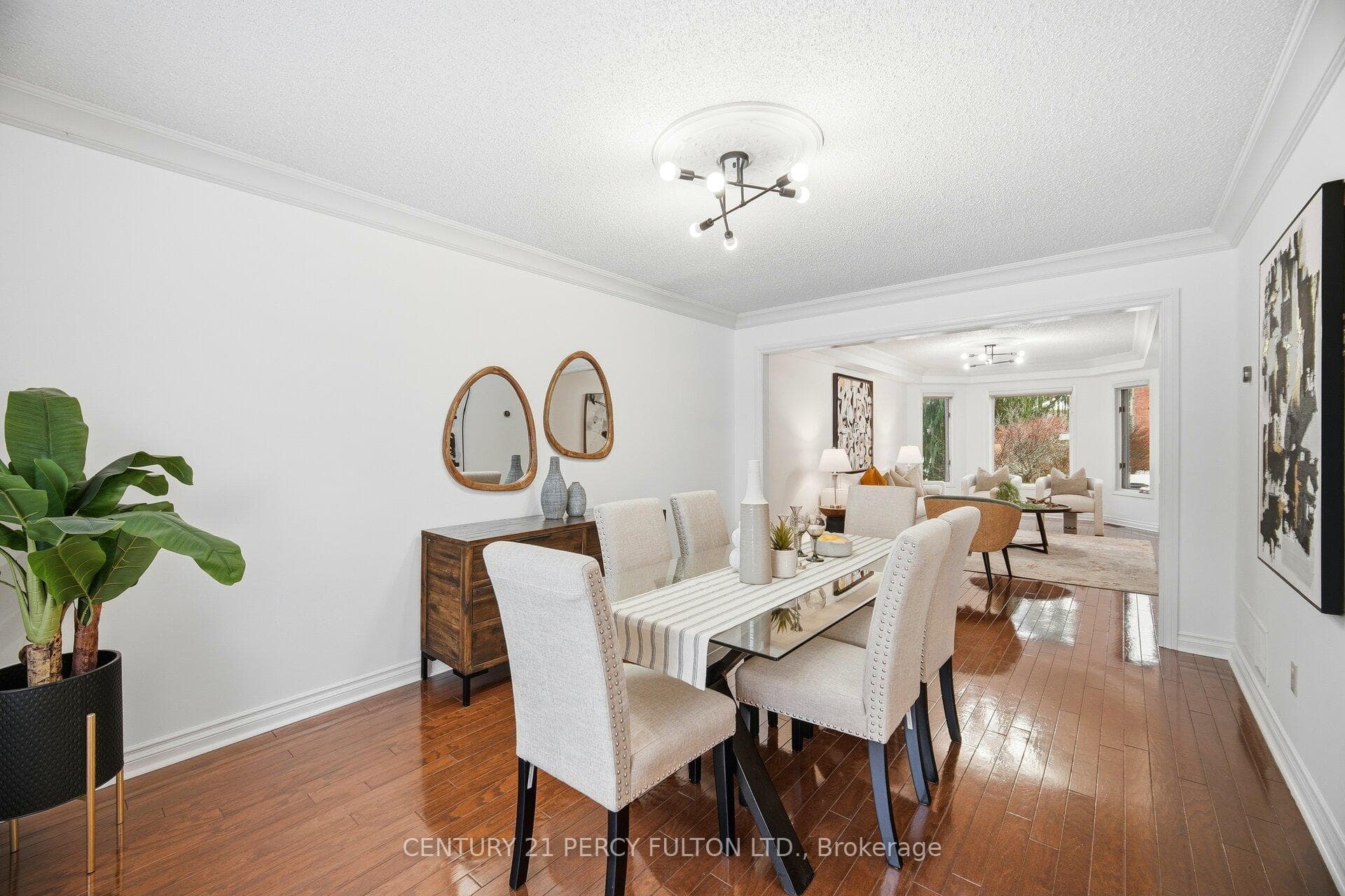 896 Darwin Drive photo 5