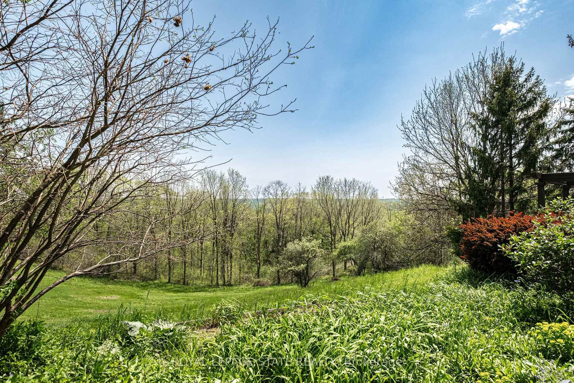 176 Weirs Lane photo 44