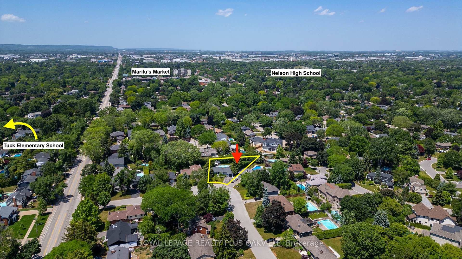 247 Elmhurst Crescent photo 6