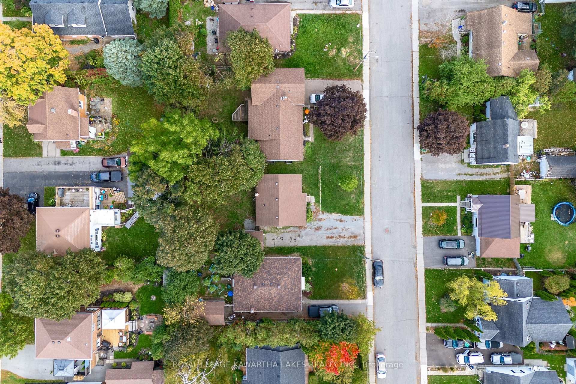184 Ardmore Avenue photo 8