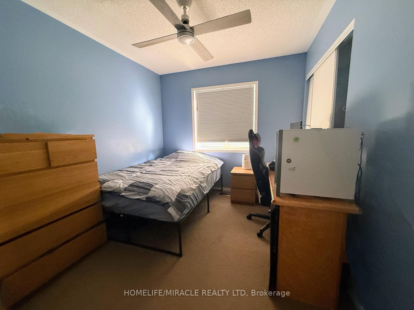 17 Bonnette Street photo 18