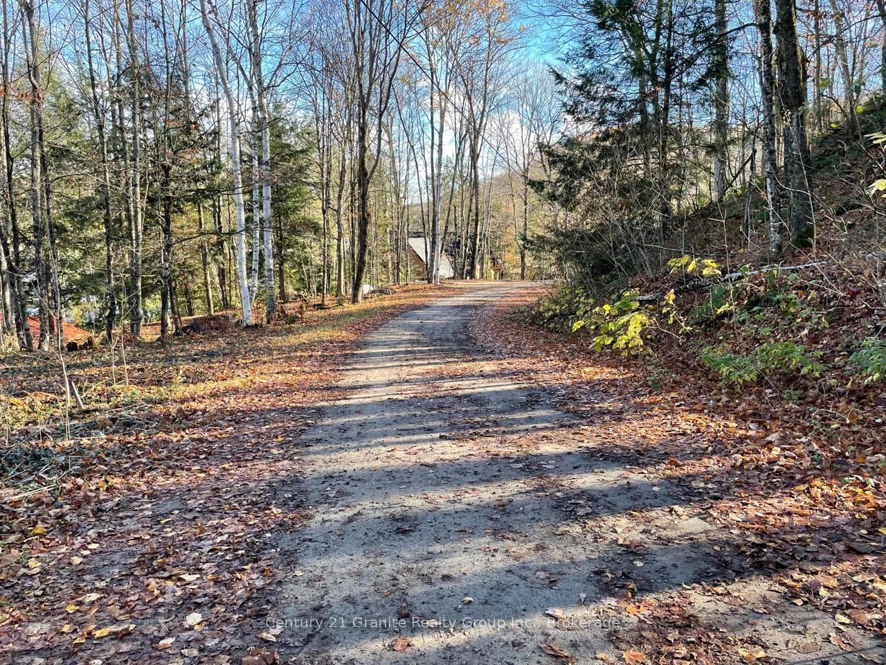 1038 Broken Paddle Road photo 48