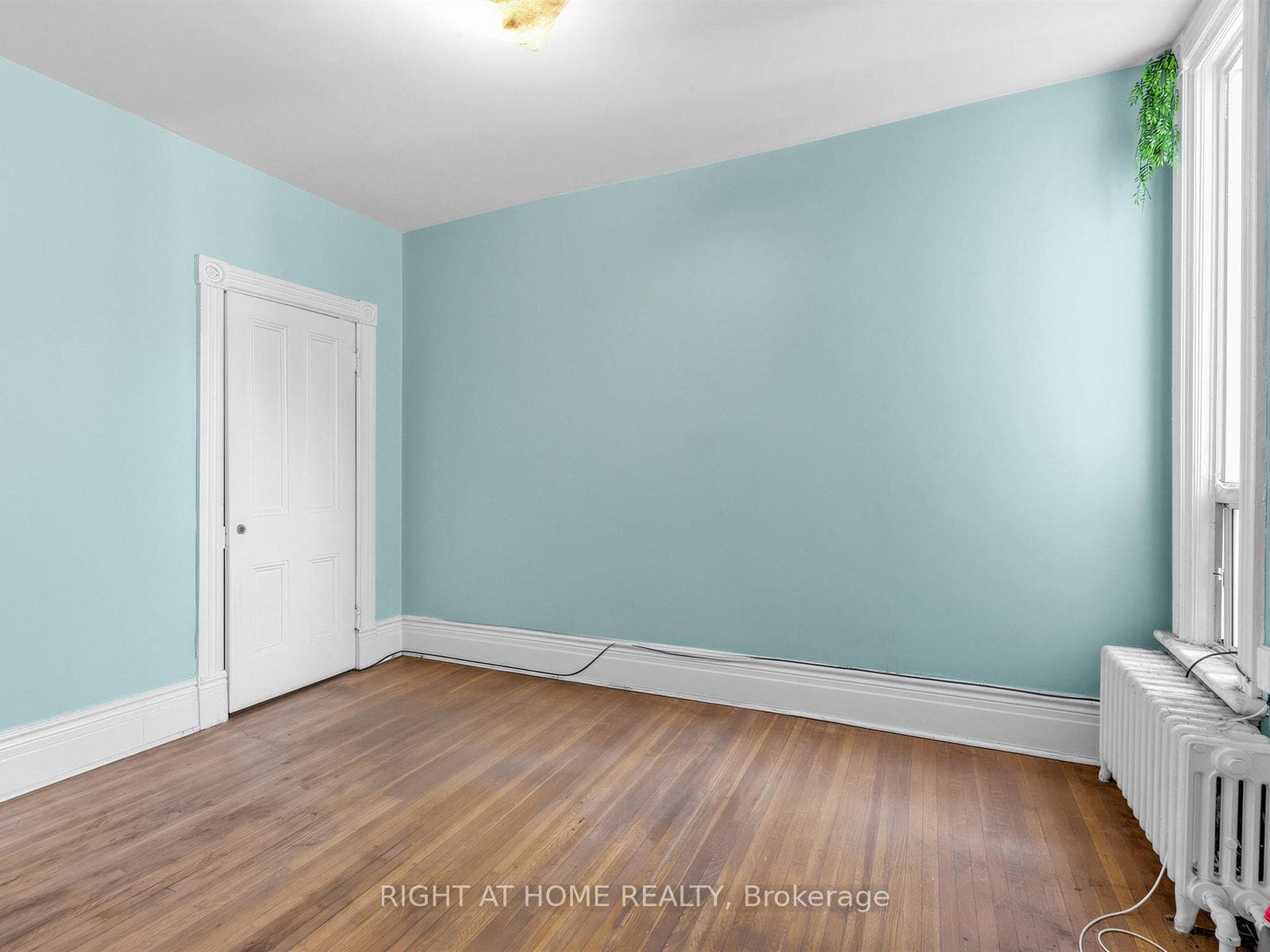91 Borden Street photo 19
