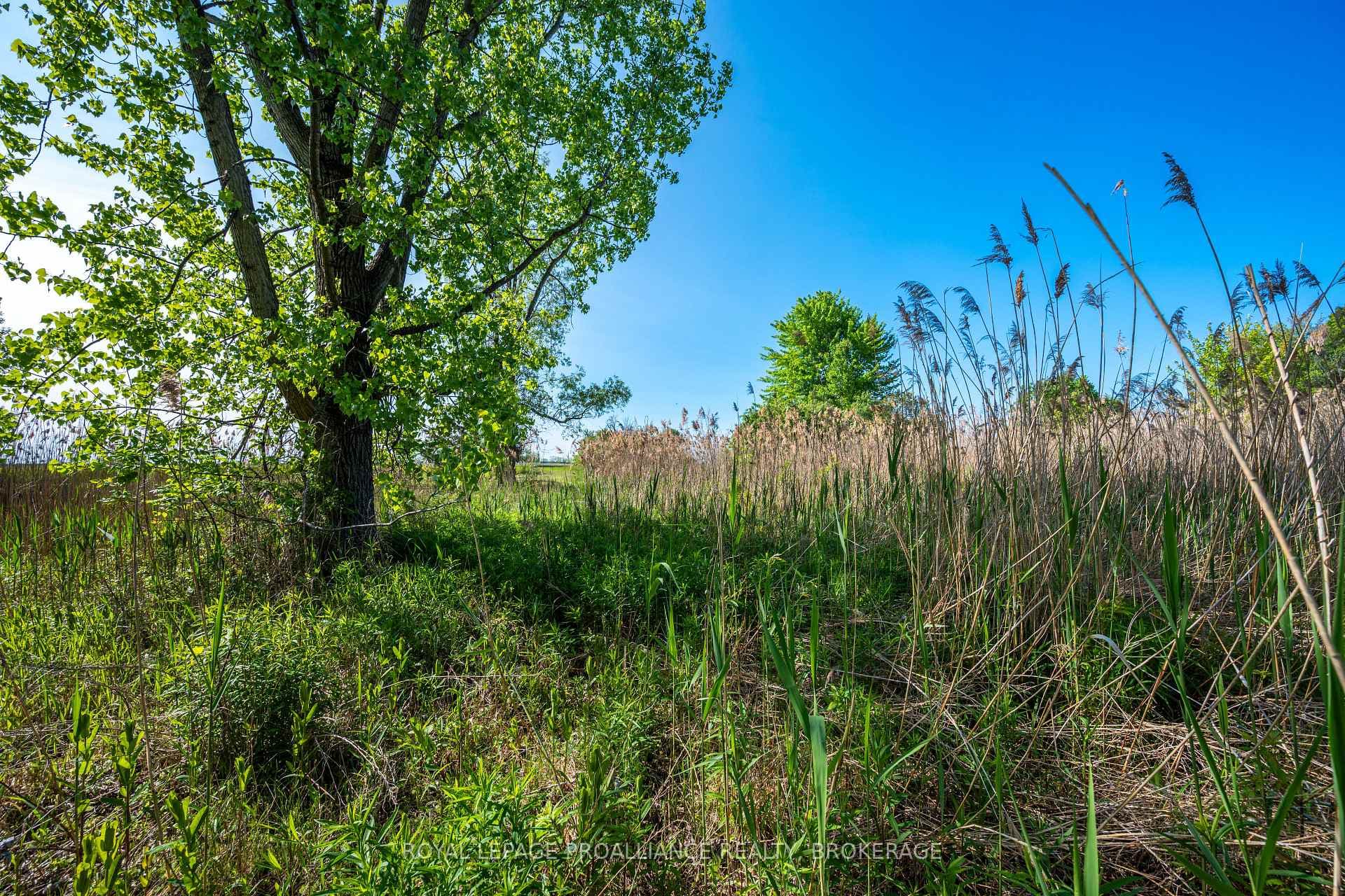 1168 Thousand Island Parkway photo 18