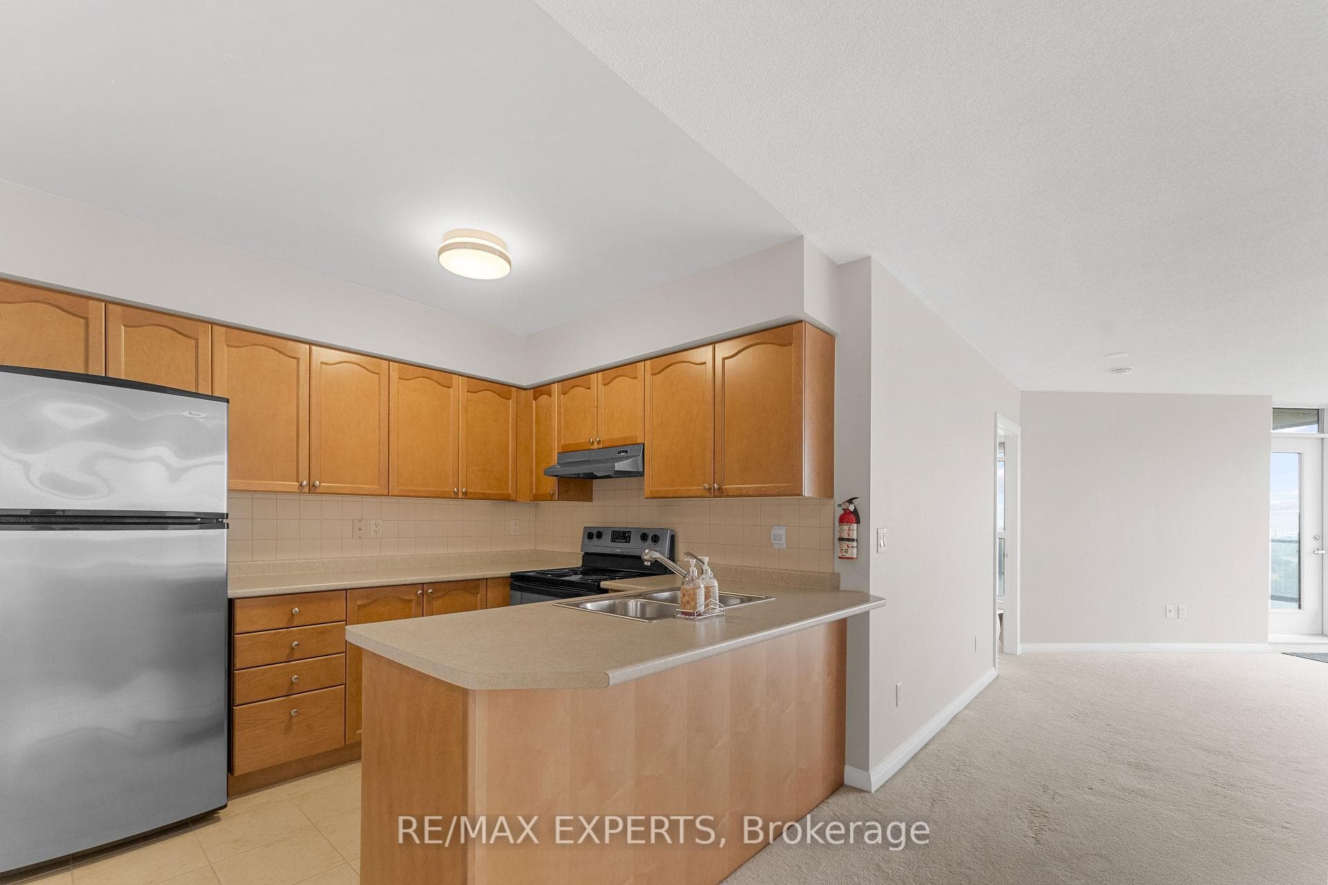 220 Forum Drive Unit 1101 photo 5