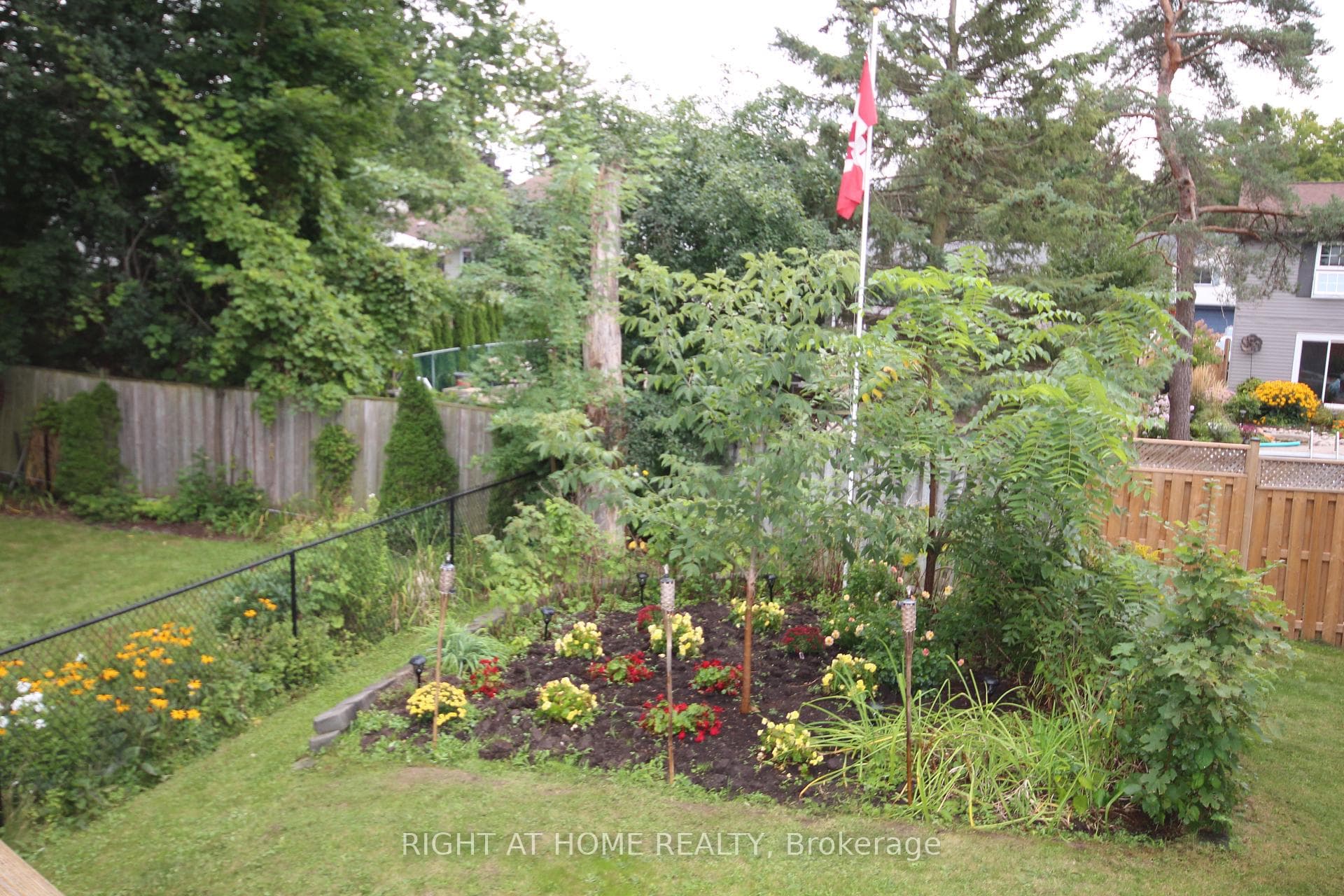 Backyard in Summer
