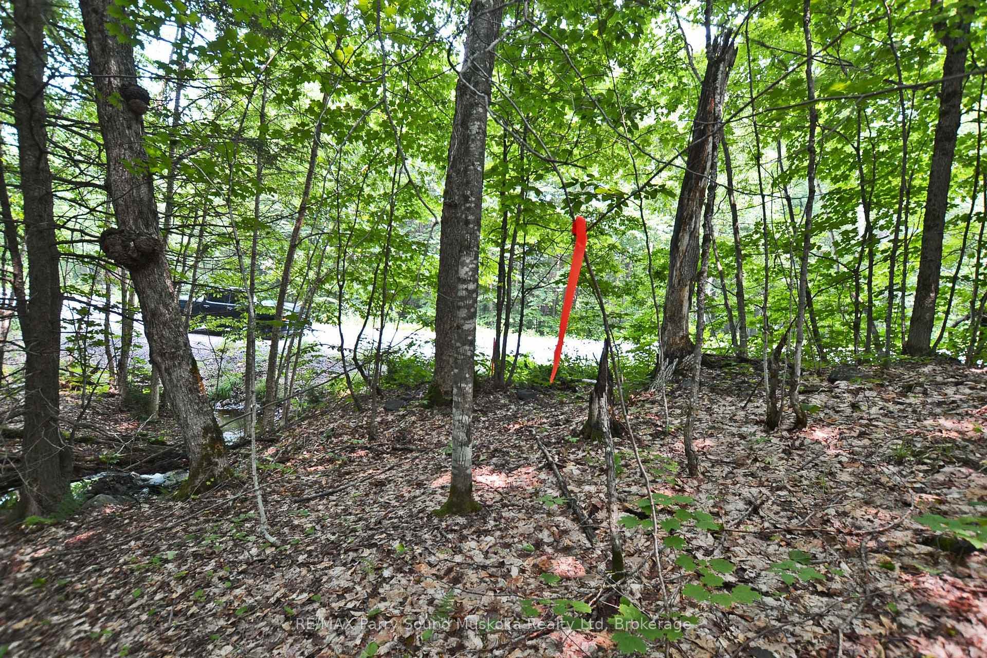 0 Lyndsey Lane Unit Part 1 photo 21