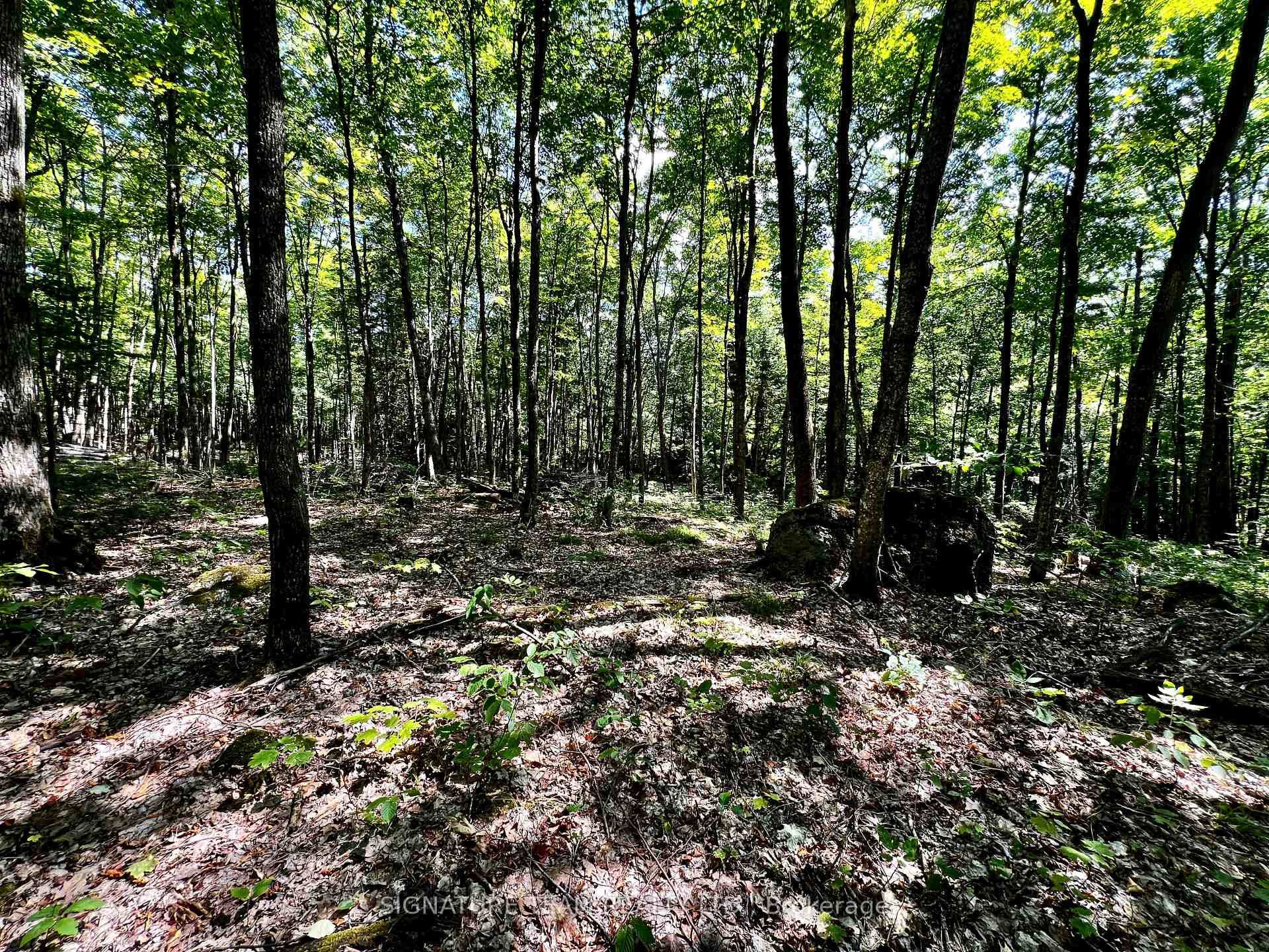 0 Nordic Lane photo 32