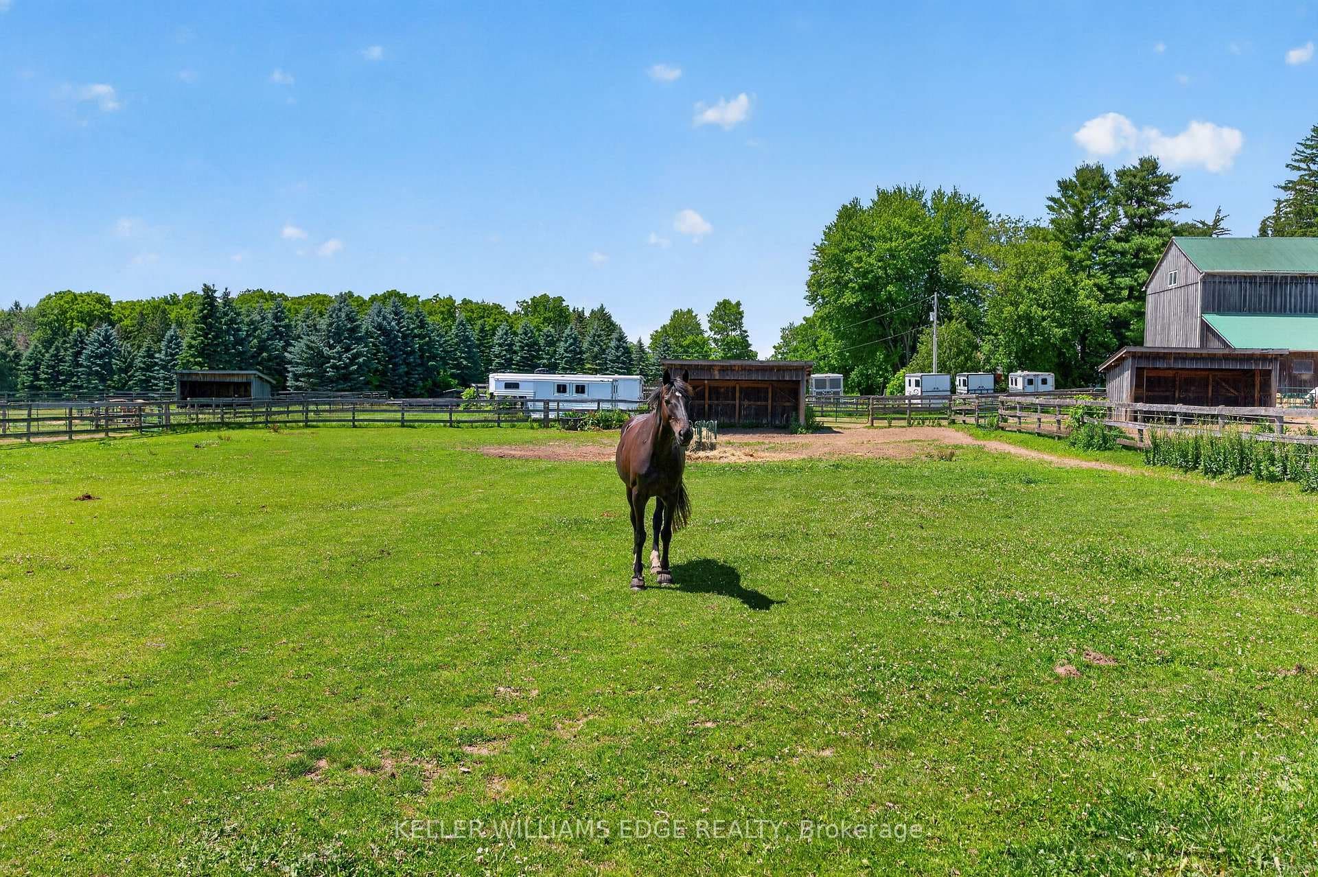 PADDOCKS