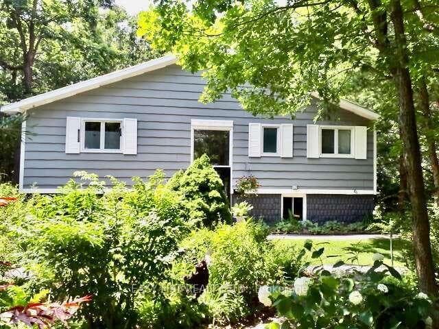 10161 Andrea Street photo 2