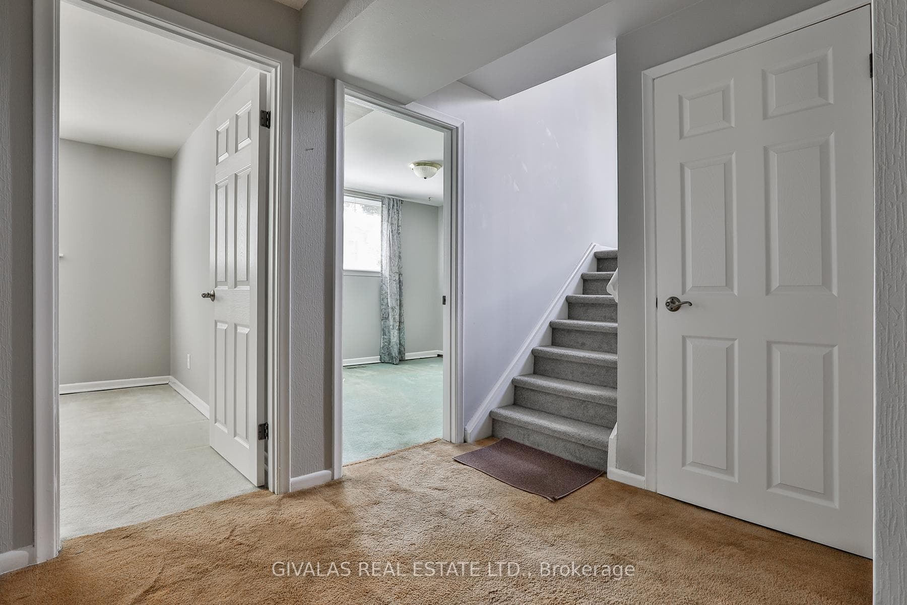 63 Alpaca Drive photo 23