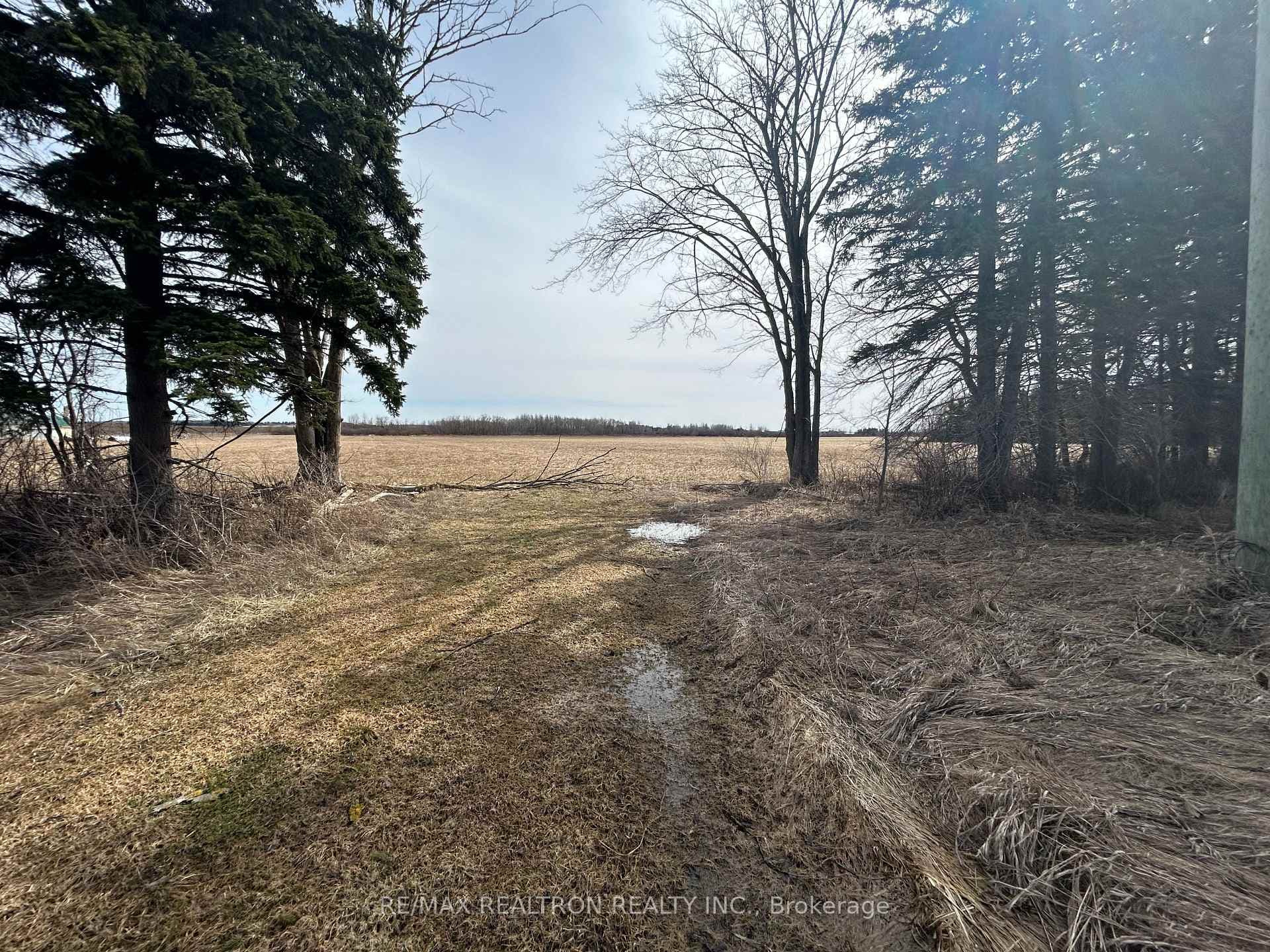 8567 Wellington Road 109 N/A photo 4