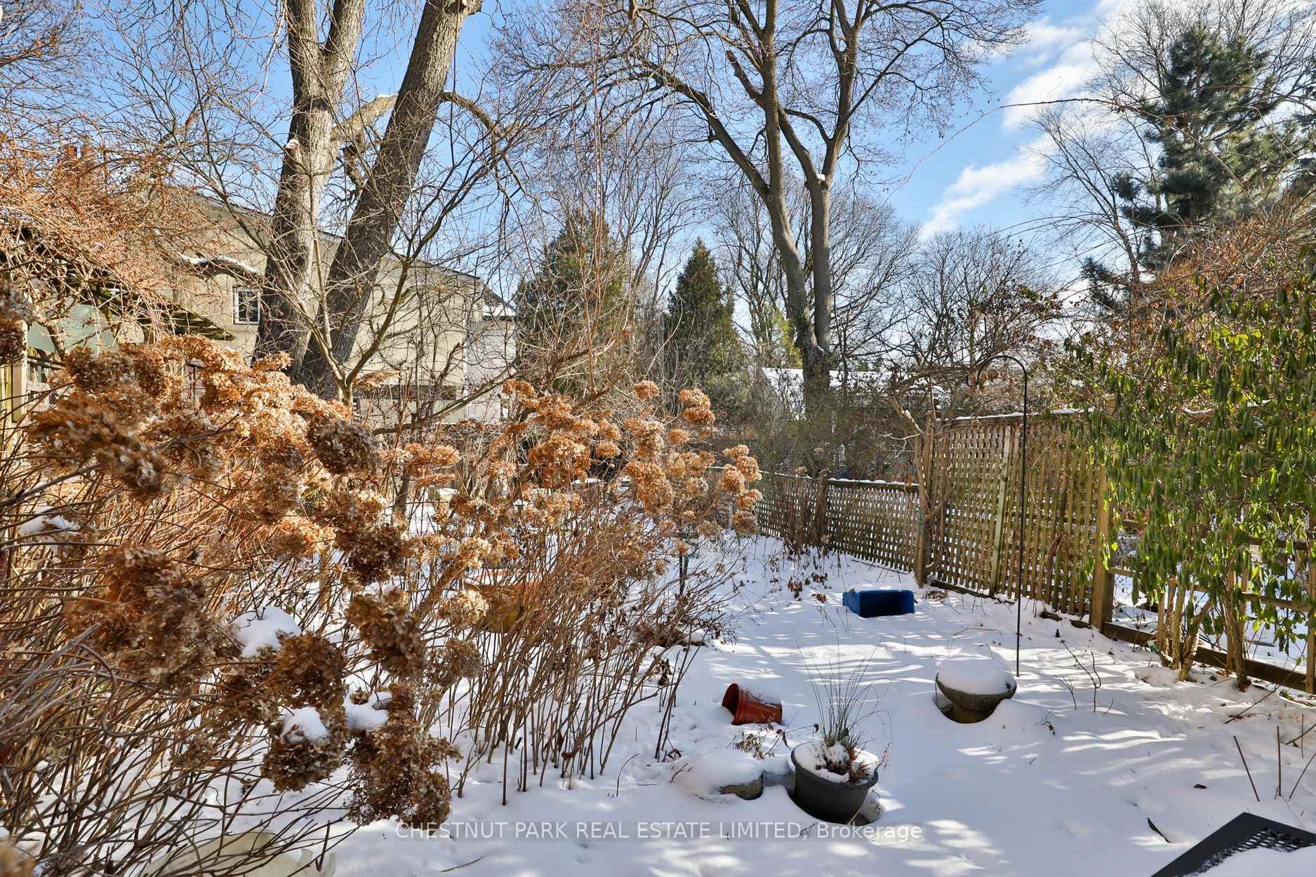 67 Welland Avenue photo 16