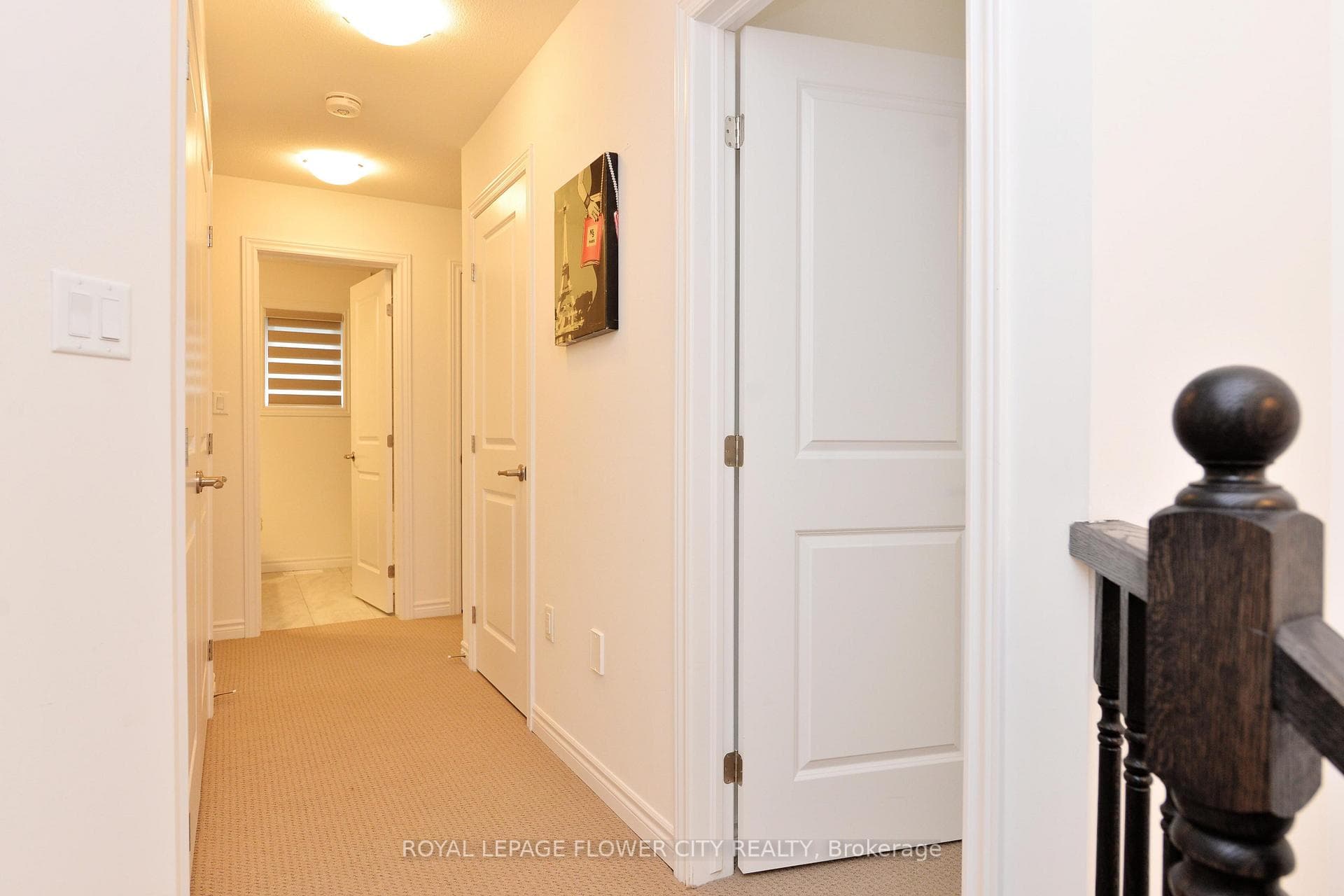 53 Whitton Drive photo 18