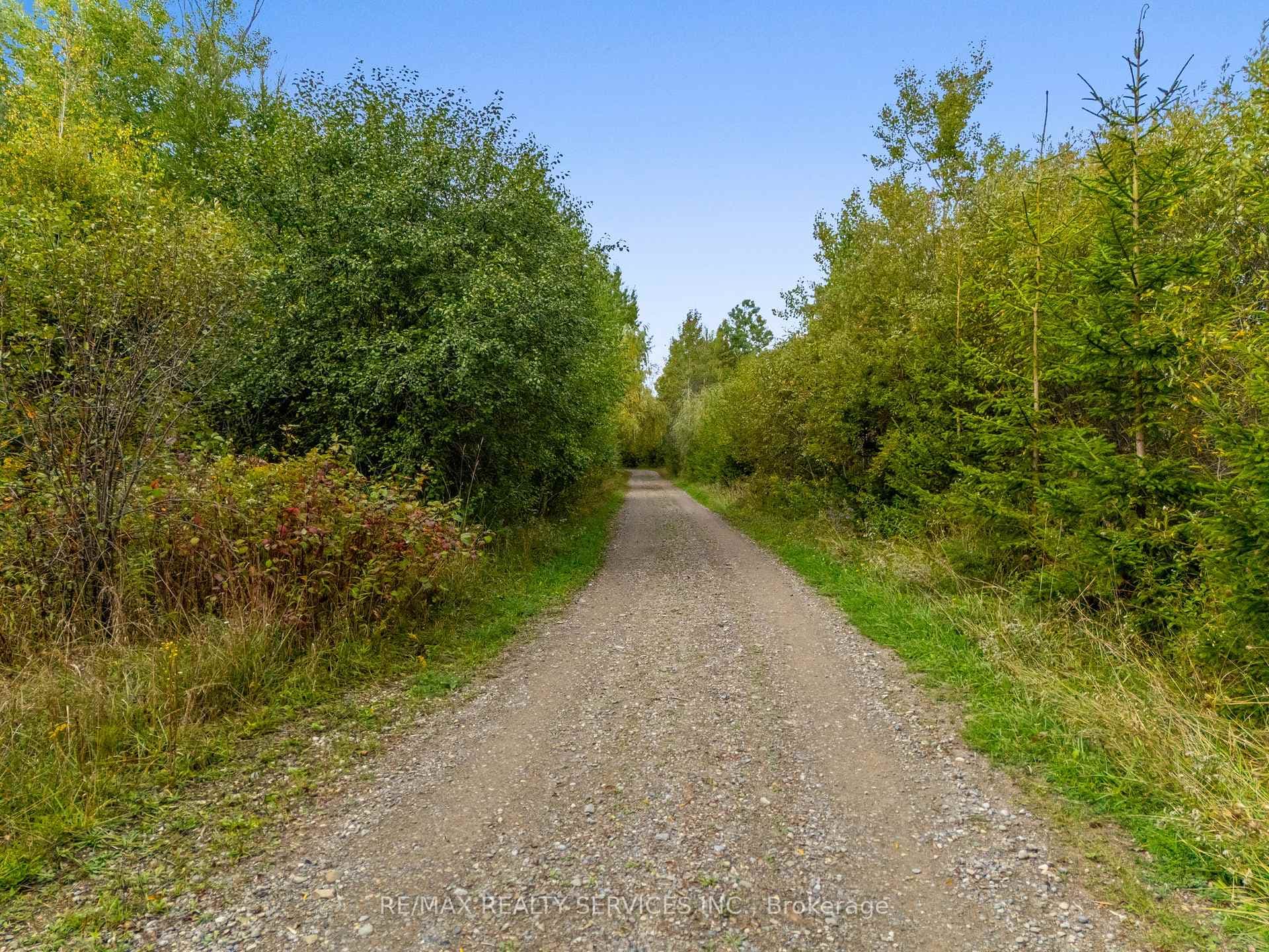 8777 17th Sideroad N/A photo 42