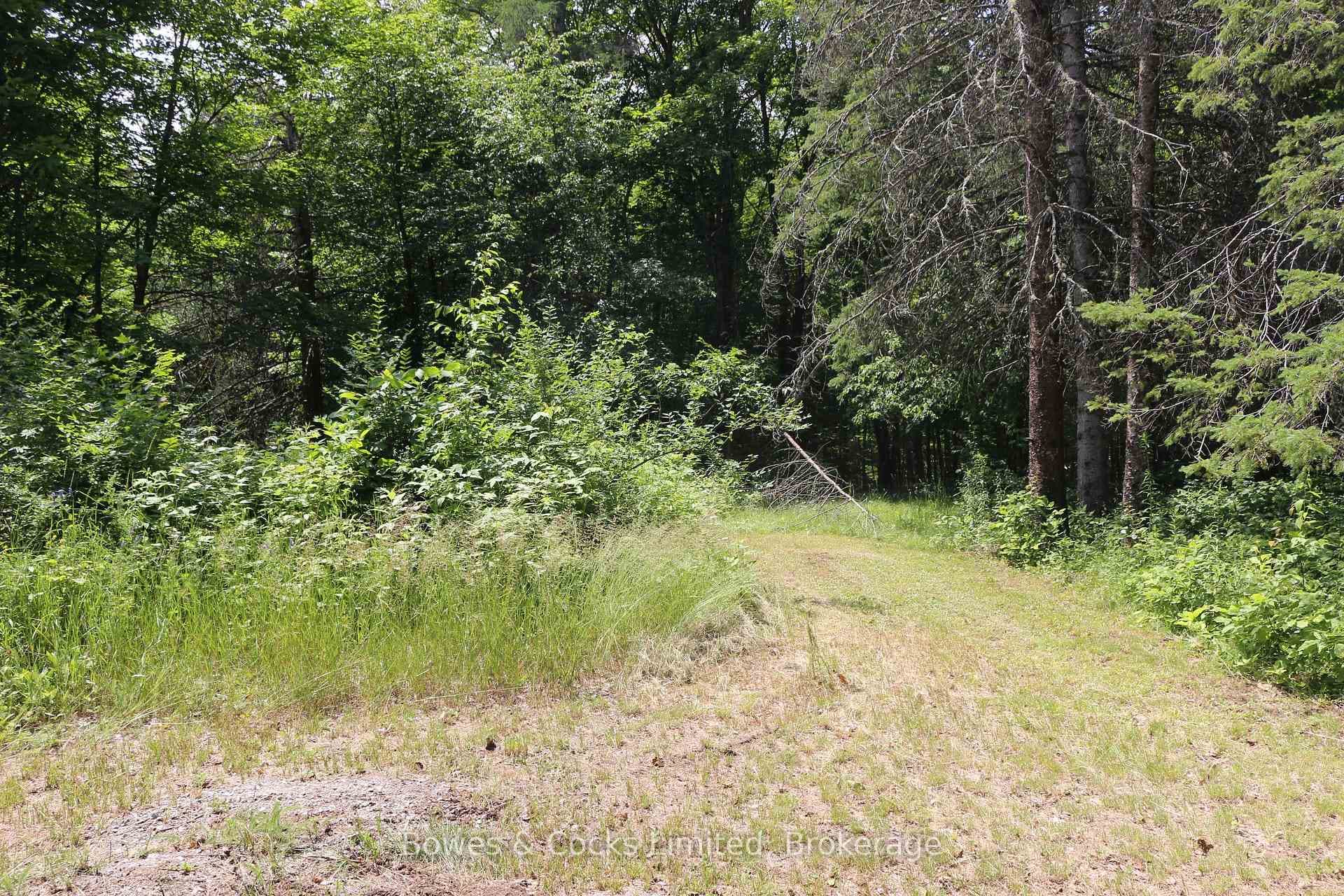 4741 Lower Faraday Road photo 40