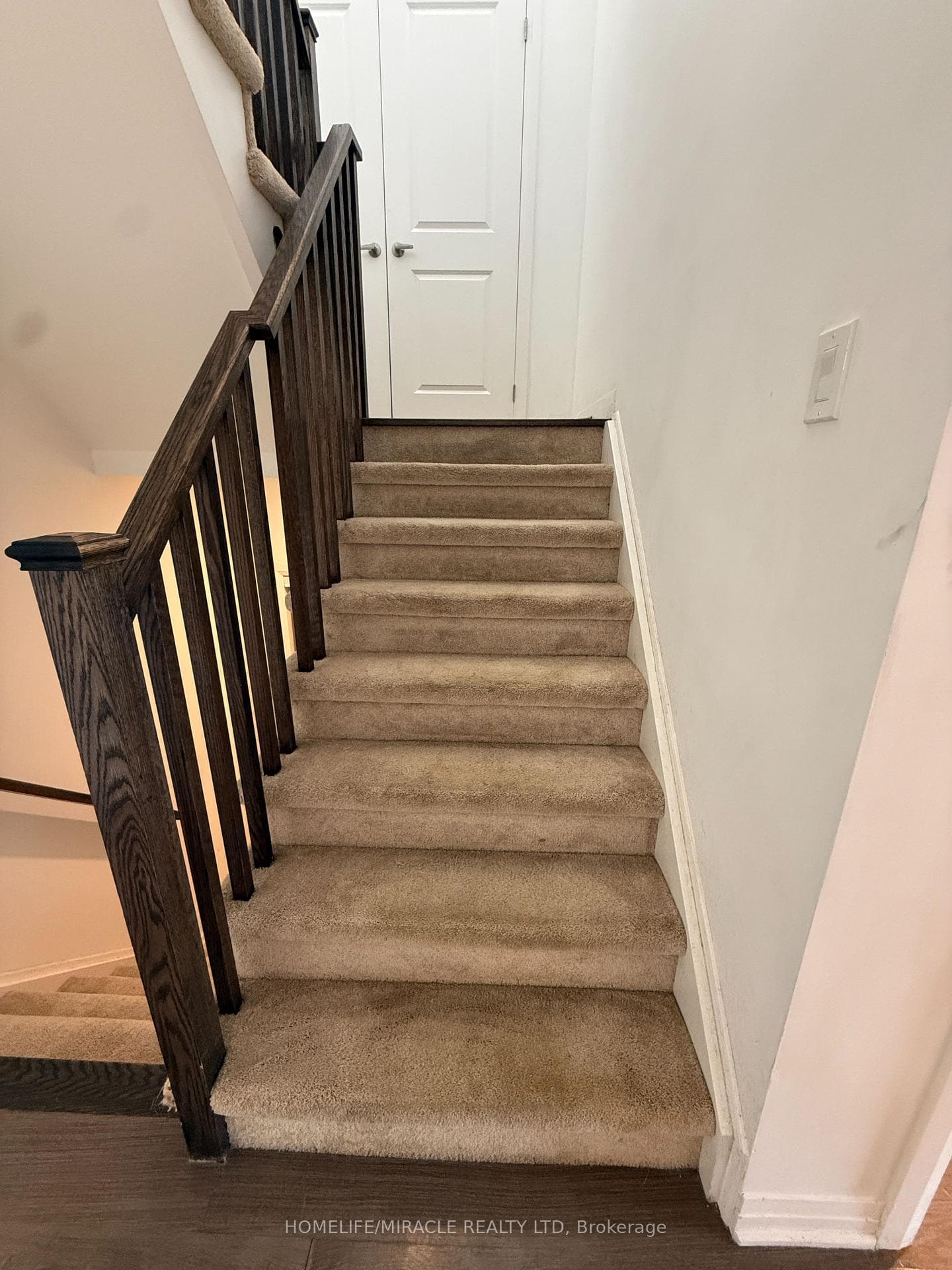 17 Casserley Crescent photo 28