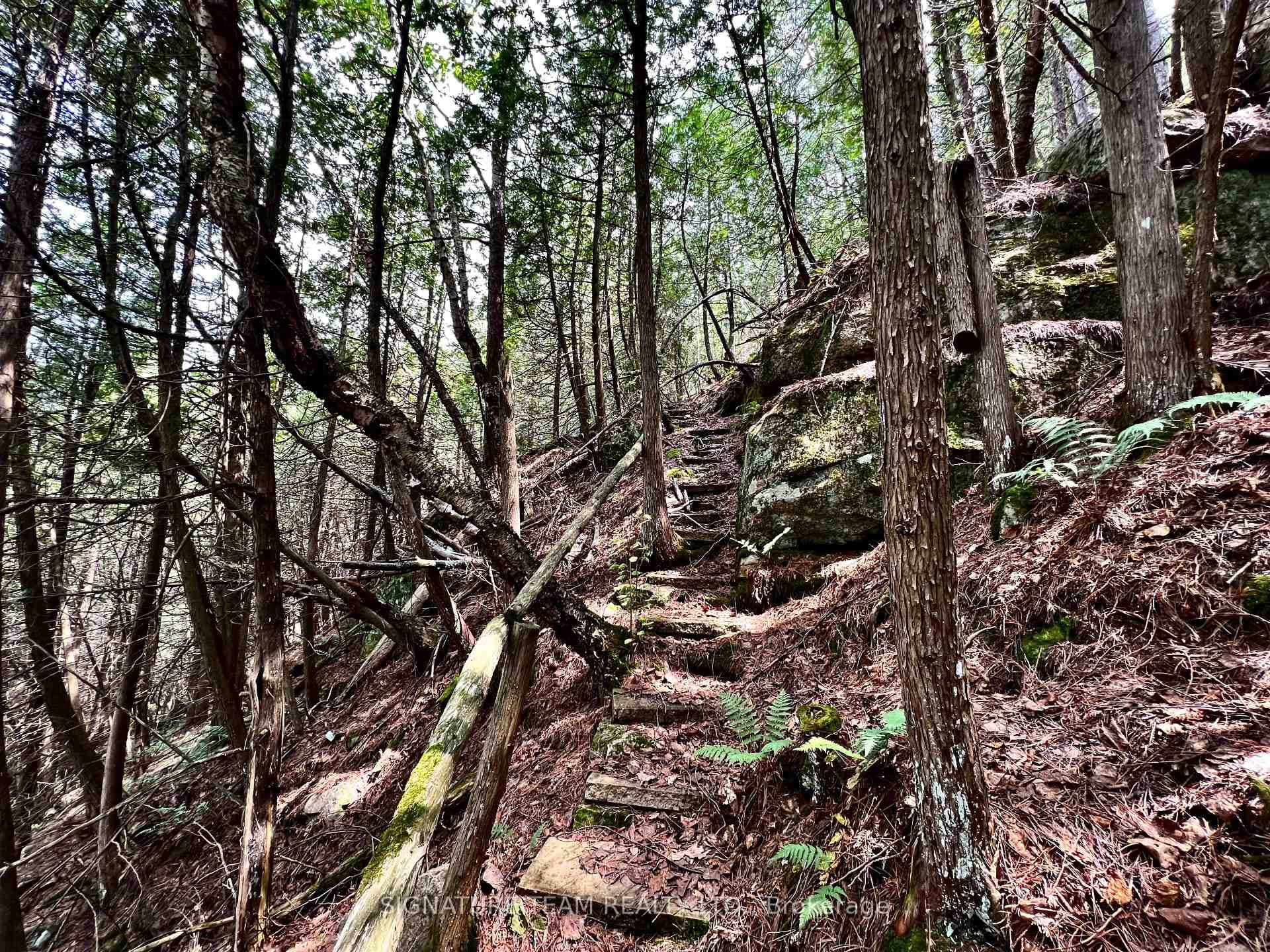 103 Bald Rock Trail photo 36