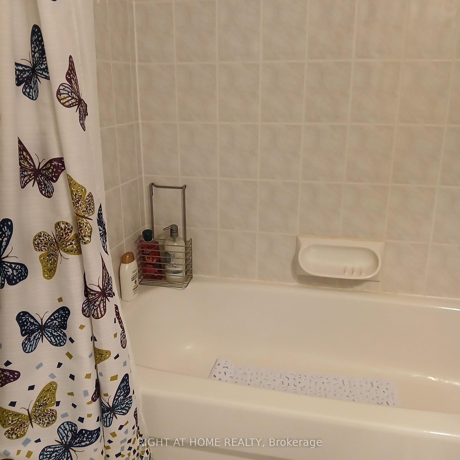 61 Patrick Drive photo 10