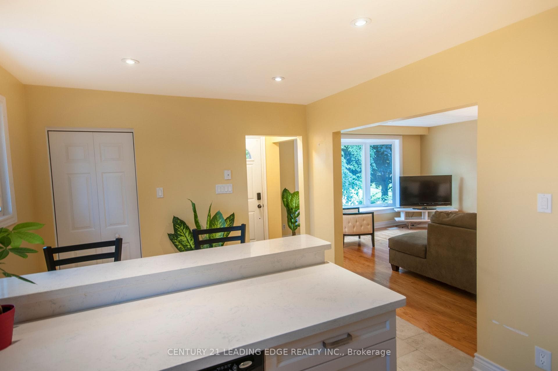 231 Linden Court photo 8