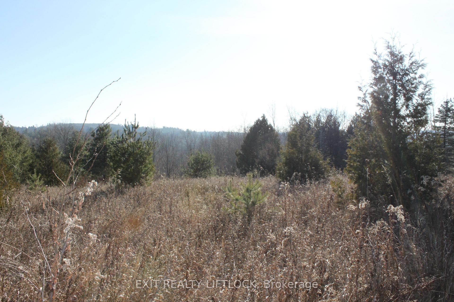 104 Concession 3 W N/A photo 5