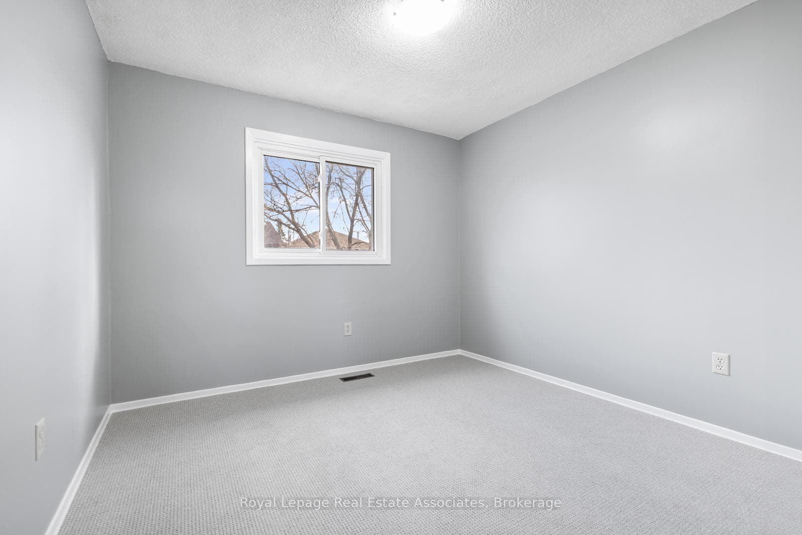 81 Lund Street photo 29