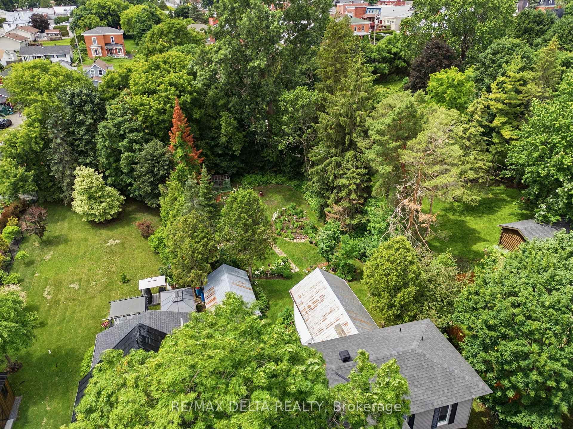 A view of the back yard.