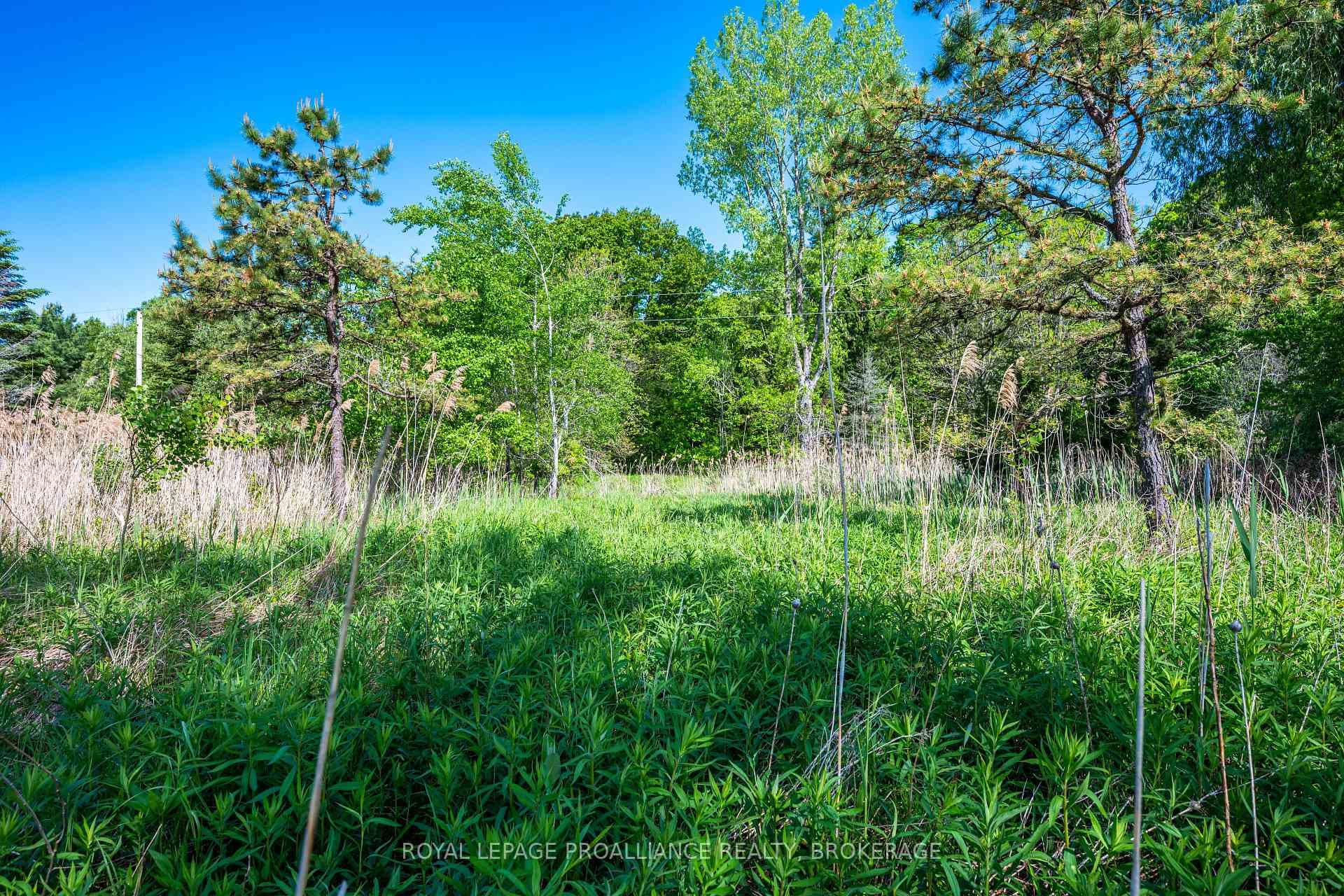 1168 Thousand Island Parkway photo 19