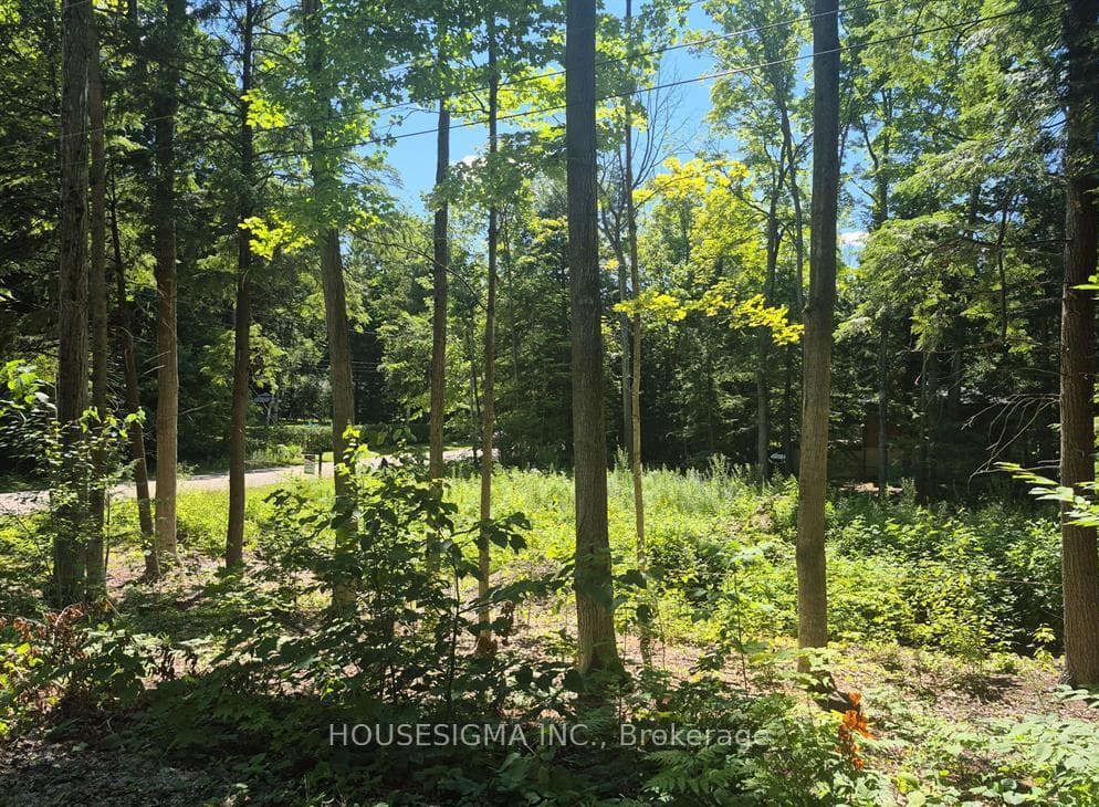 68 Beauremi Road photo 12