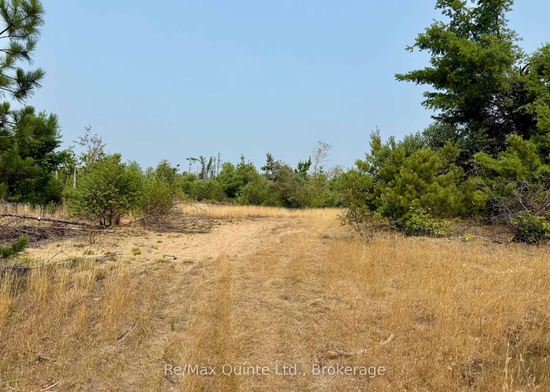 0 Potter Settlement Road photo 4