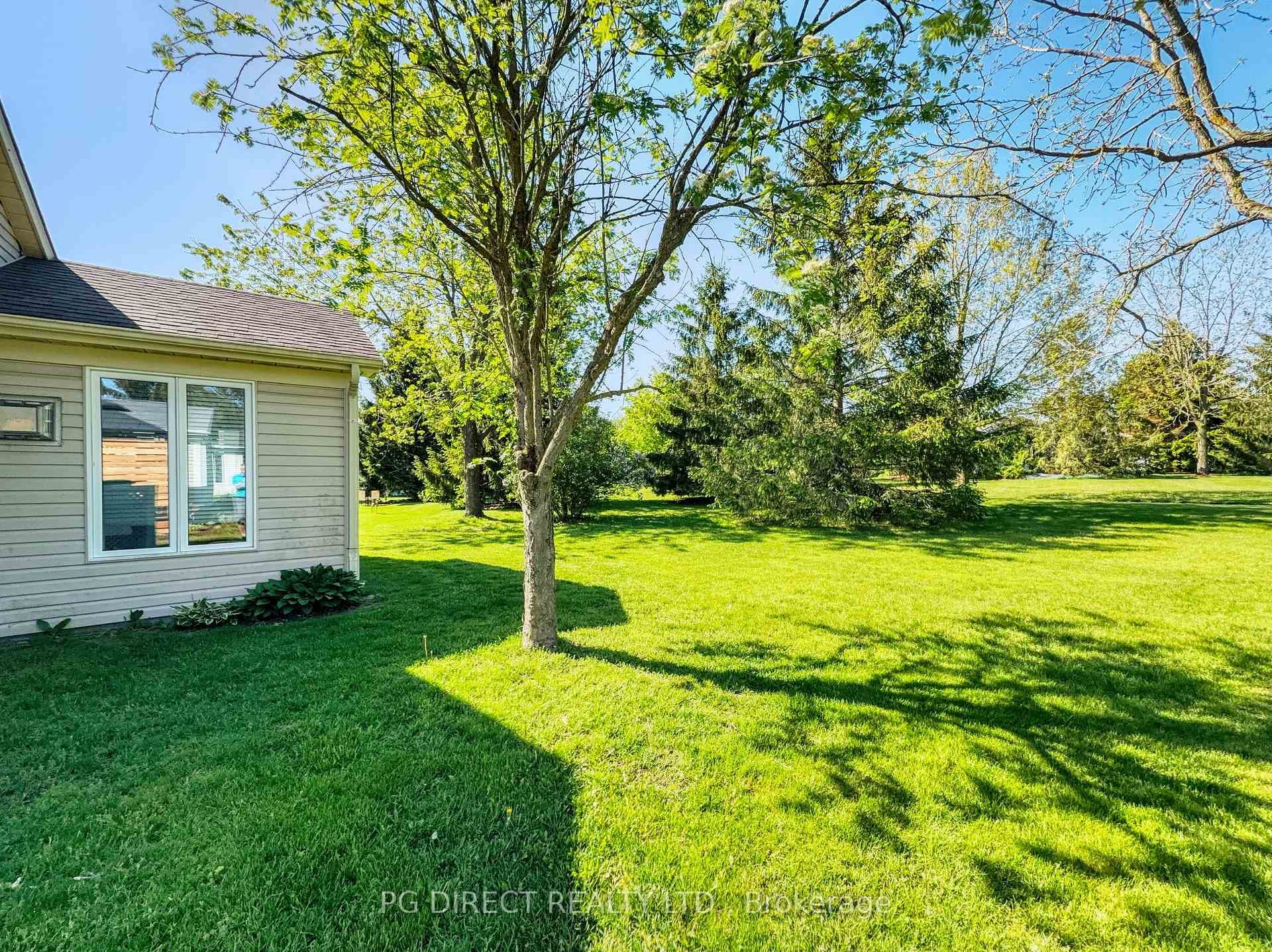 113 White Bark Way photo 17