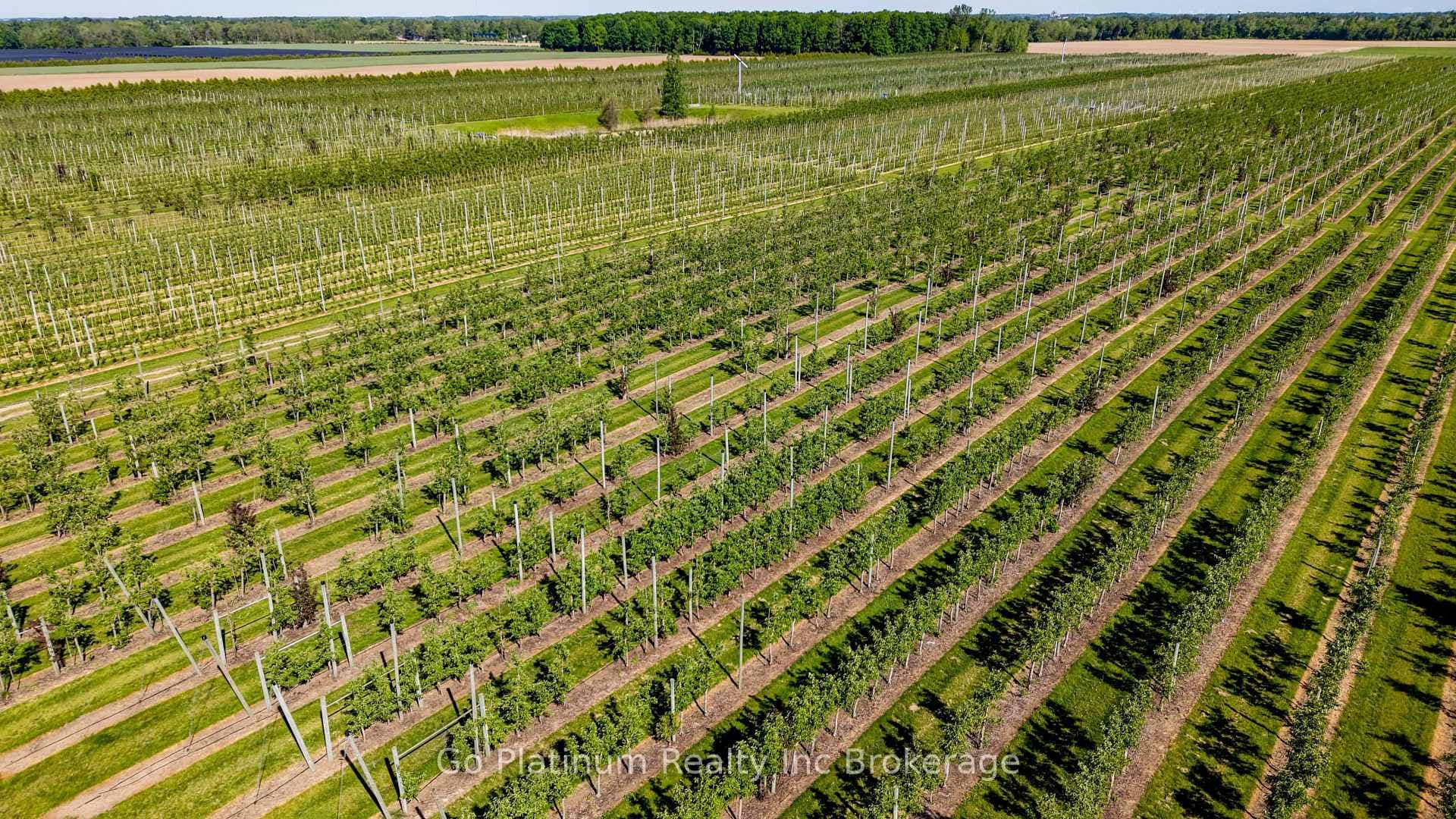 225863 Otterville Road photo 13