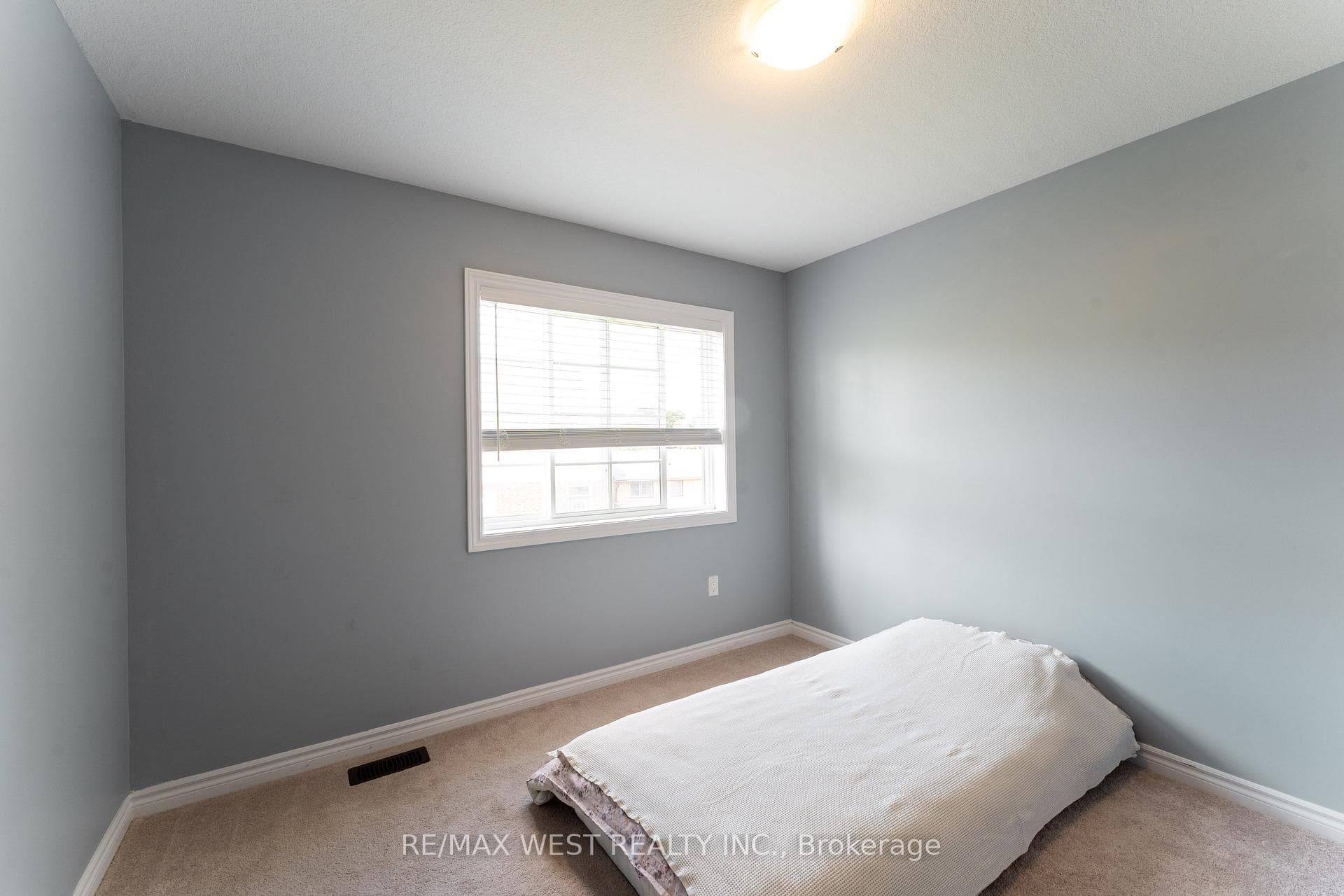 24 Dewberry Drive photo 22