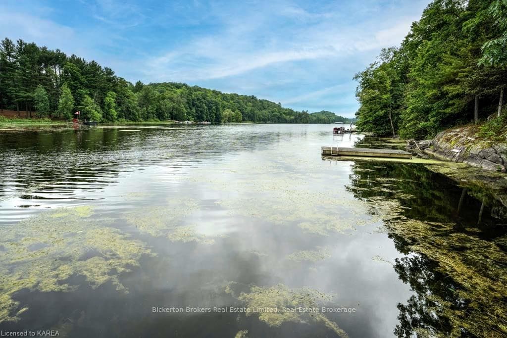 919 RIVERSIDE Drive photo 25