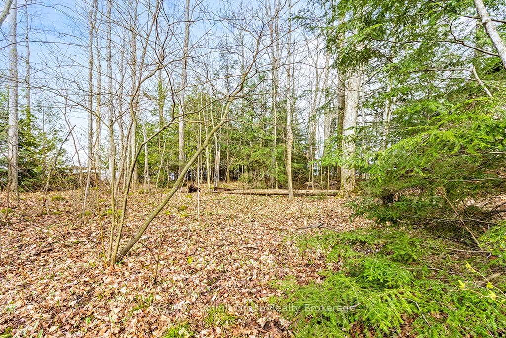 202 Lakeshore Boulevard photo 13