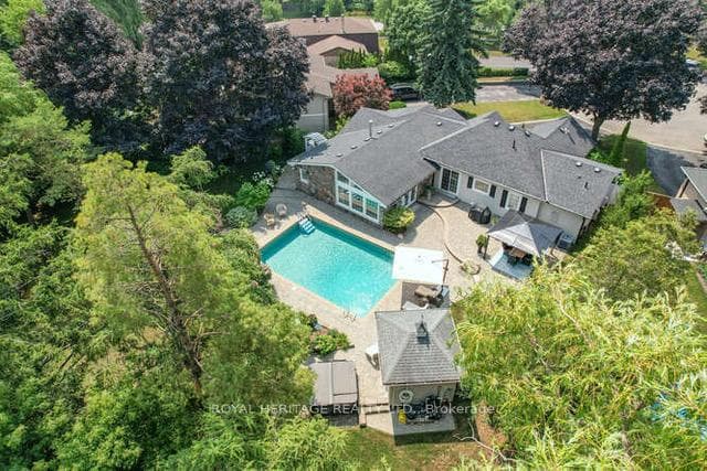 Backyard Oasis