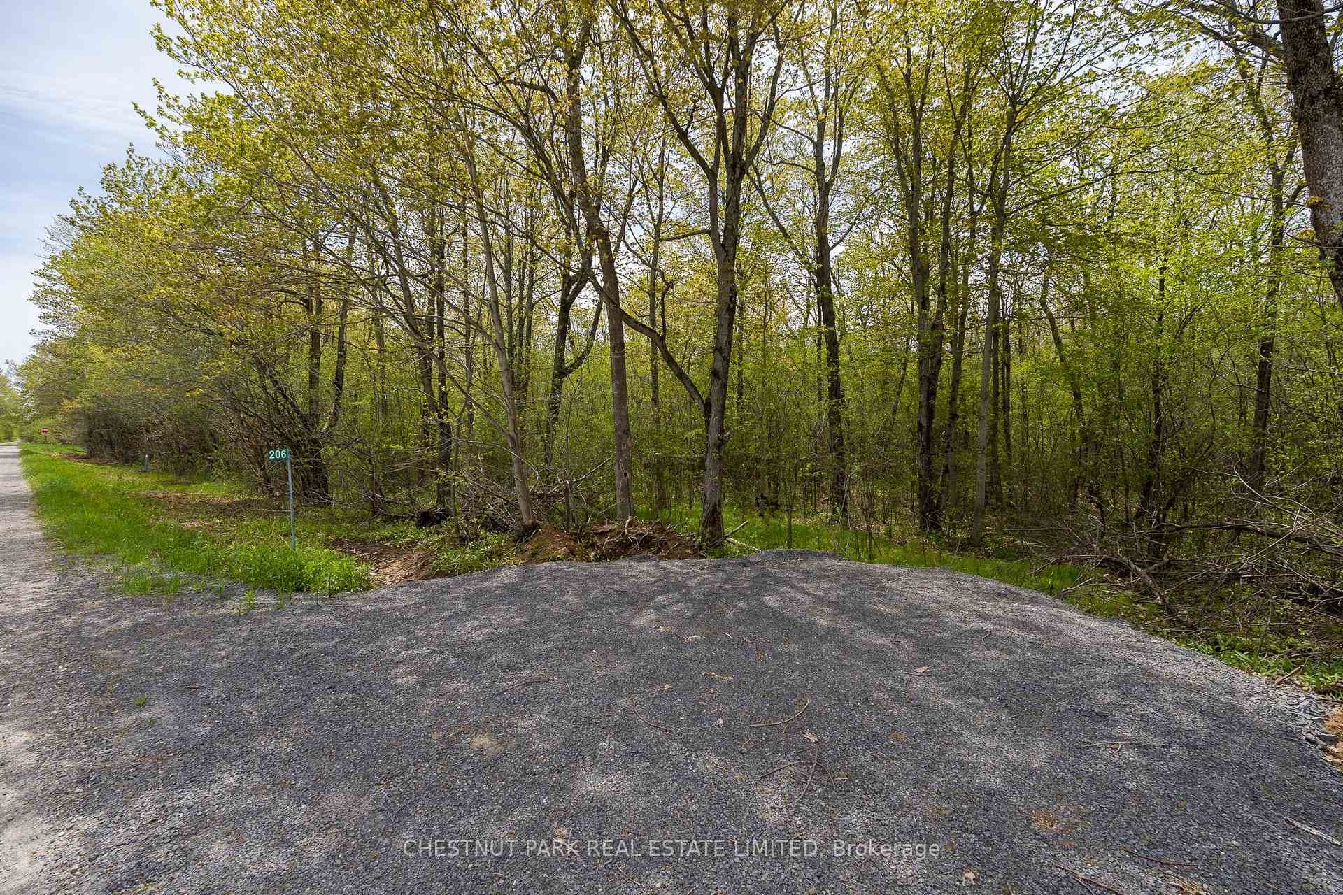 206 Simpson Road photo 16
