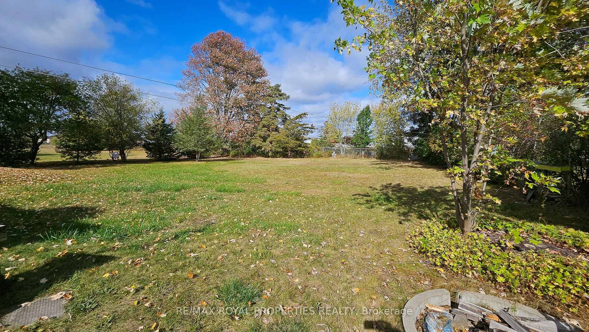 48 Tracey Street photo 25